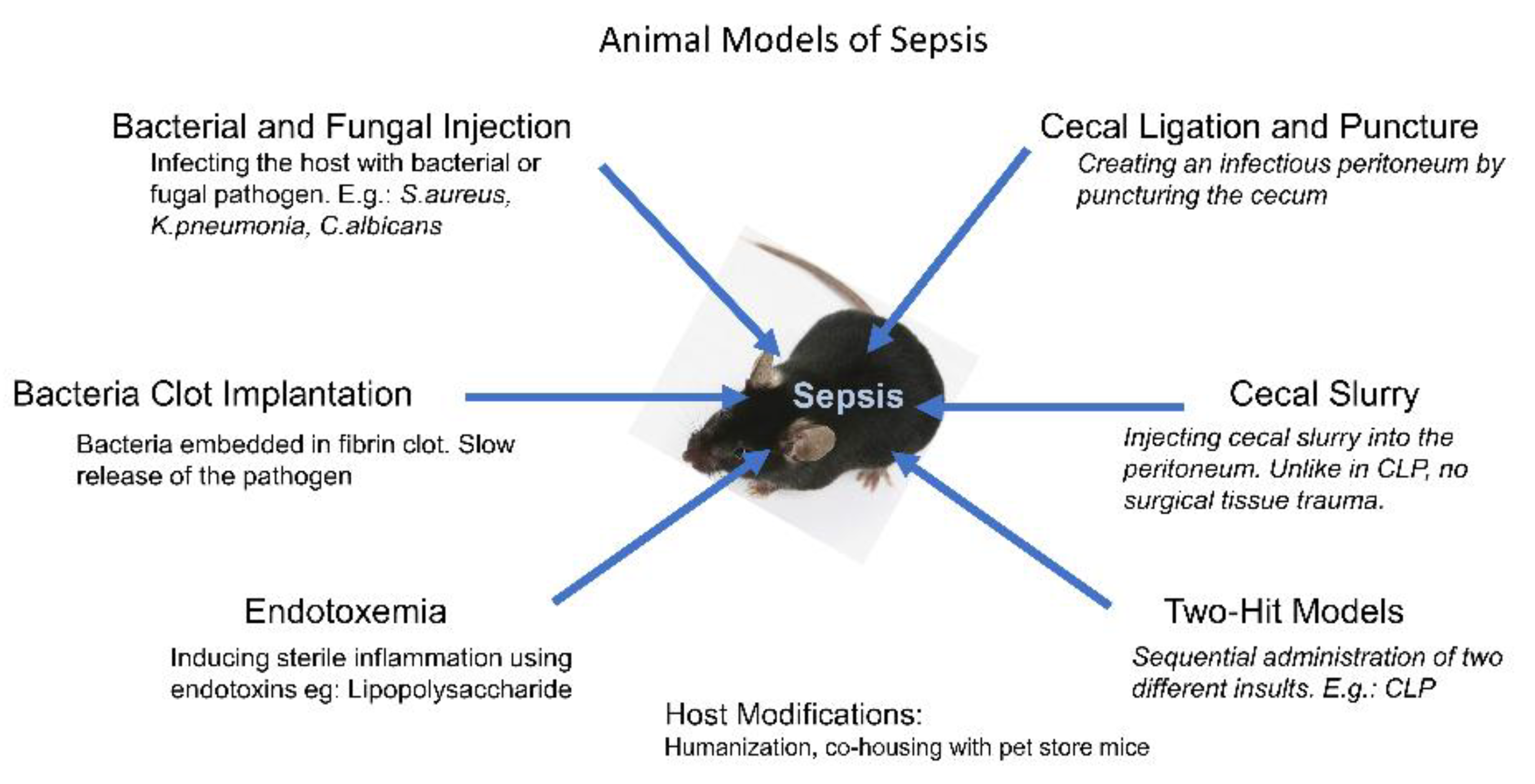 PDF) Sepsis in Burns—Lessons Learnt from Developments in the Management of  Septic Shock