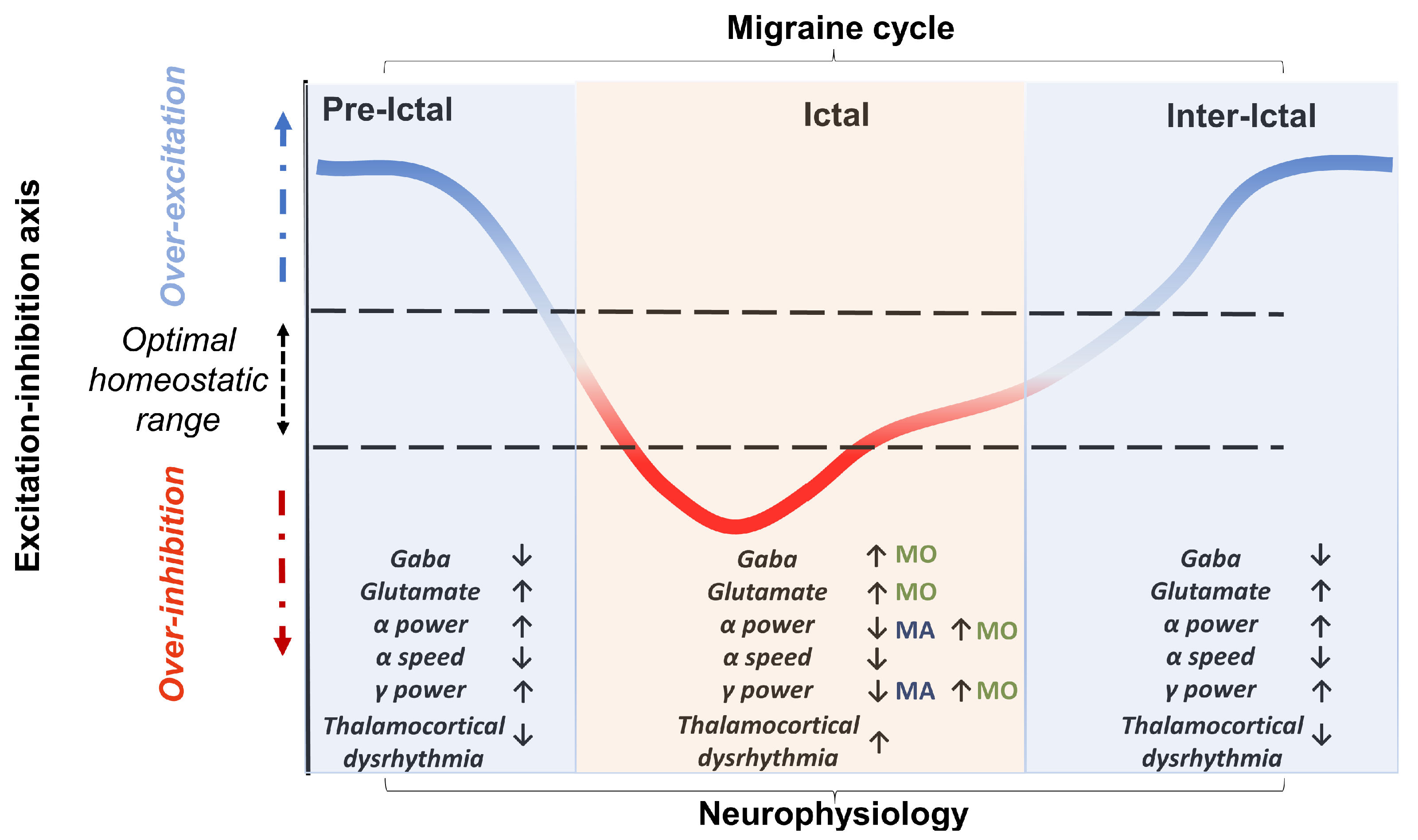 IJMS | Free Full-Text | Excitation-Inhibition Imbalance in Migraine ...