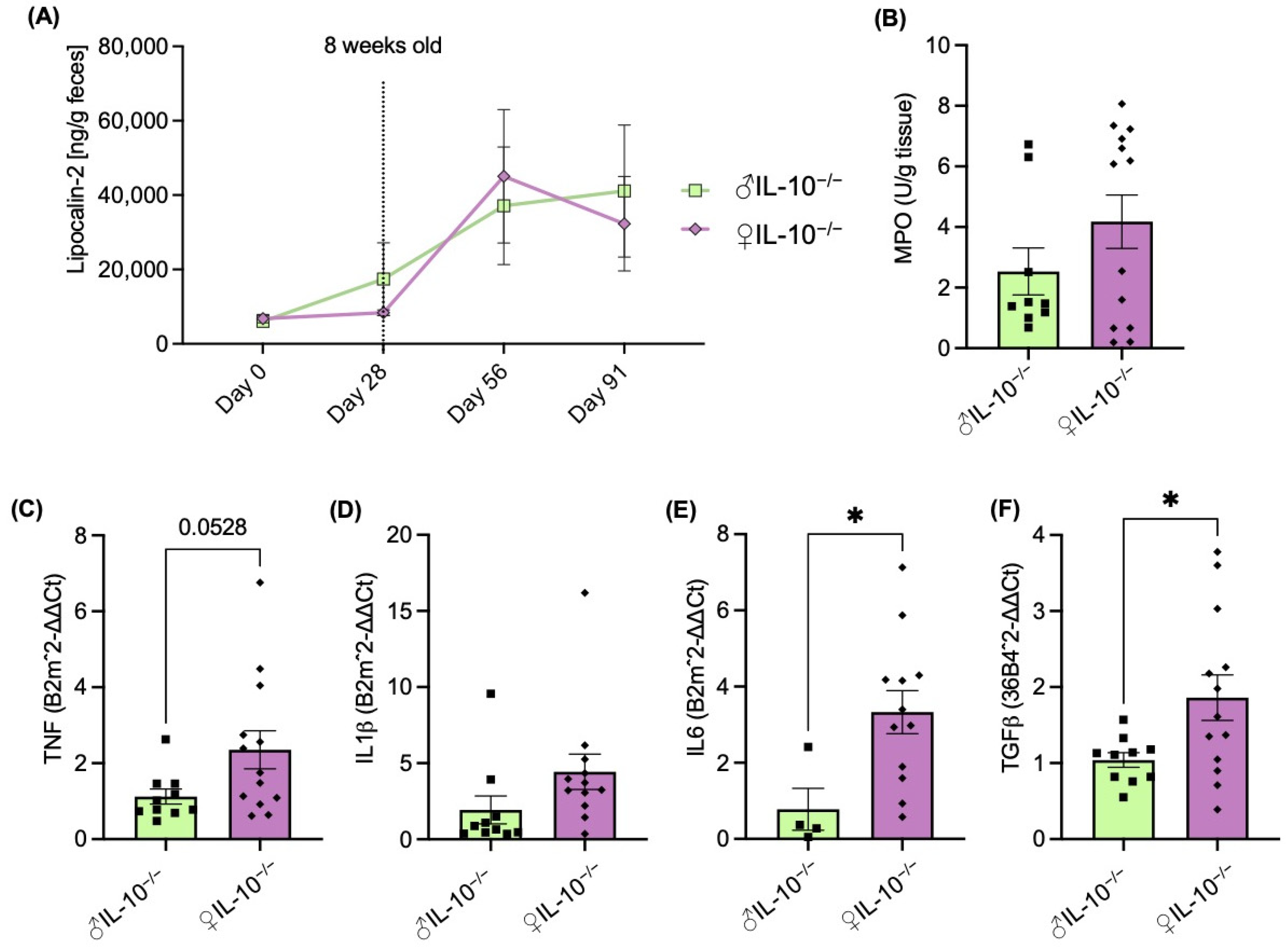 The Effect Of Sex Specific Differences On Il 10−− Mouse Colitis Phenotype And Microbiota 1019