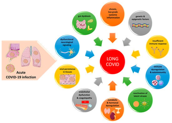 IJMS | Free Full-Text | Laboratory Findings and Biomarkers in Long 