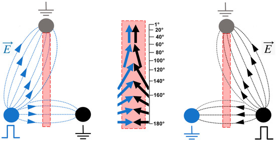 https://pub.mdpi-res.com/ijms/ijms-24-10921/article_deploy/html/images/ijms-24-10921-g001-550.jpg?1688114011