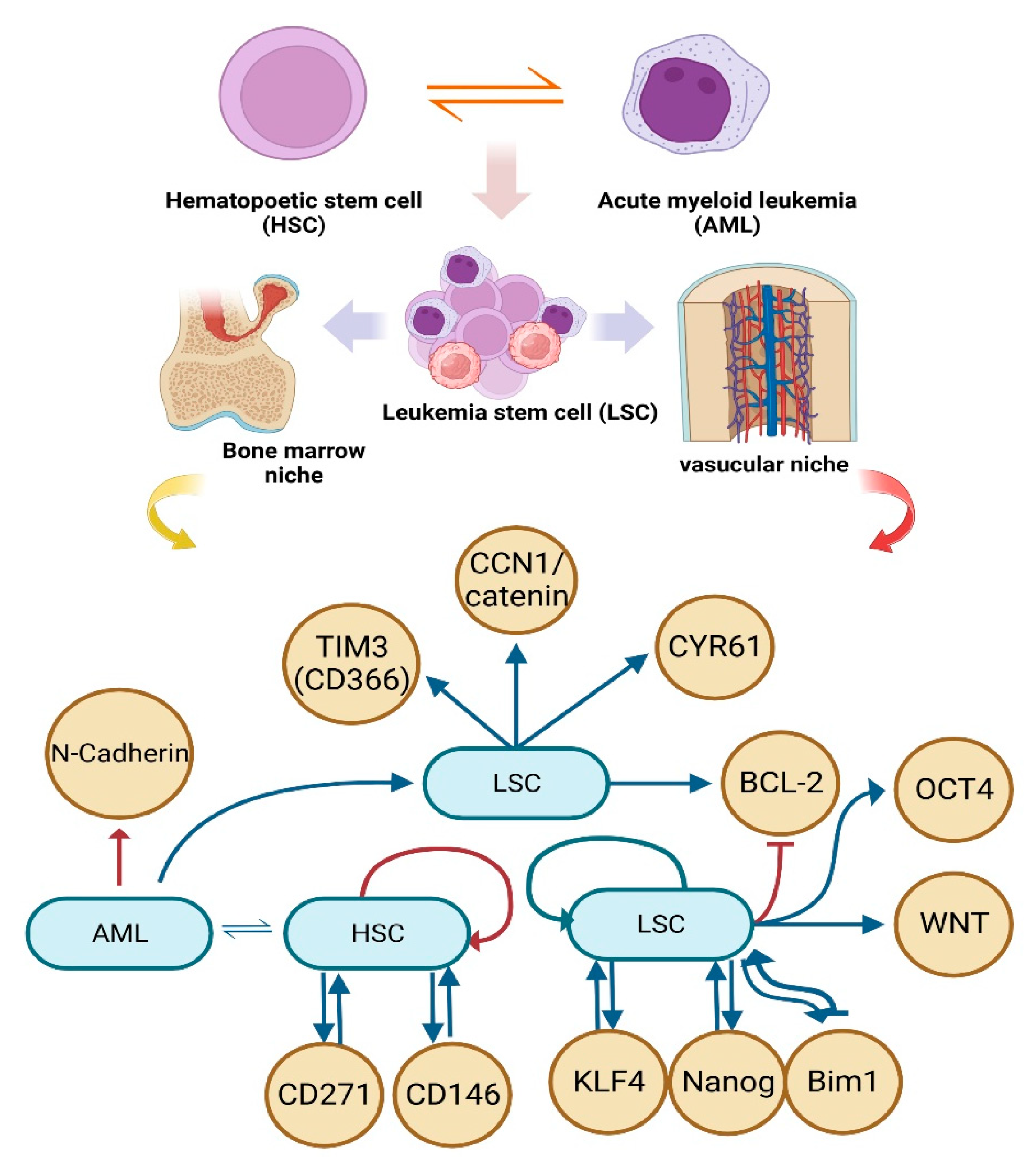 IJMS | Free Full-Text | The Therapeutic Potential Of A Strategy To ...