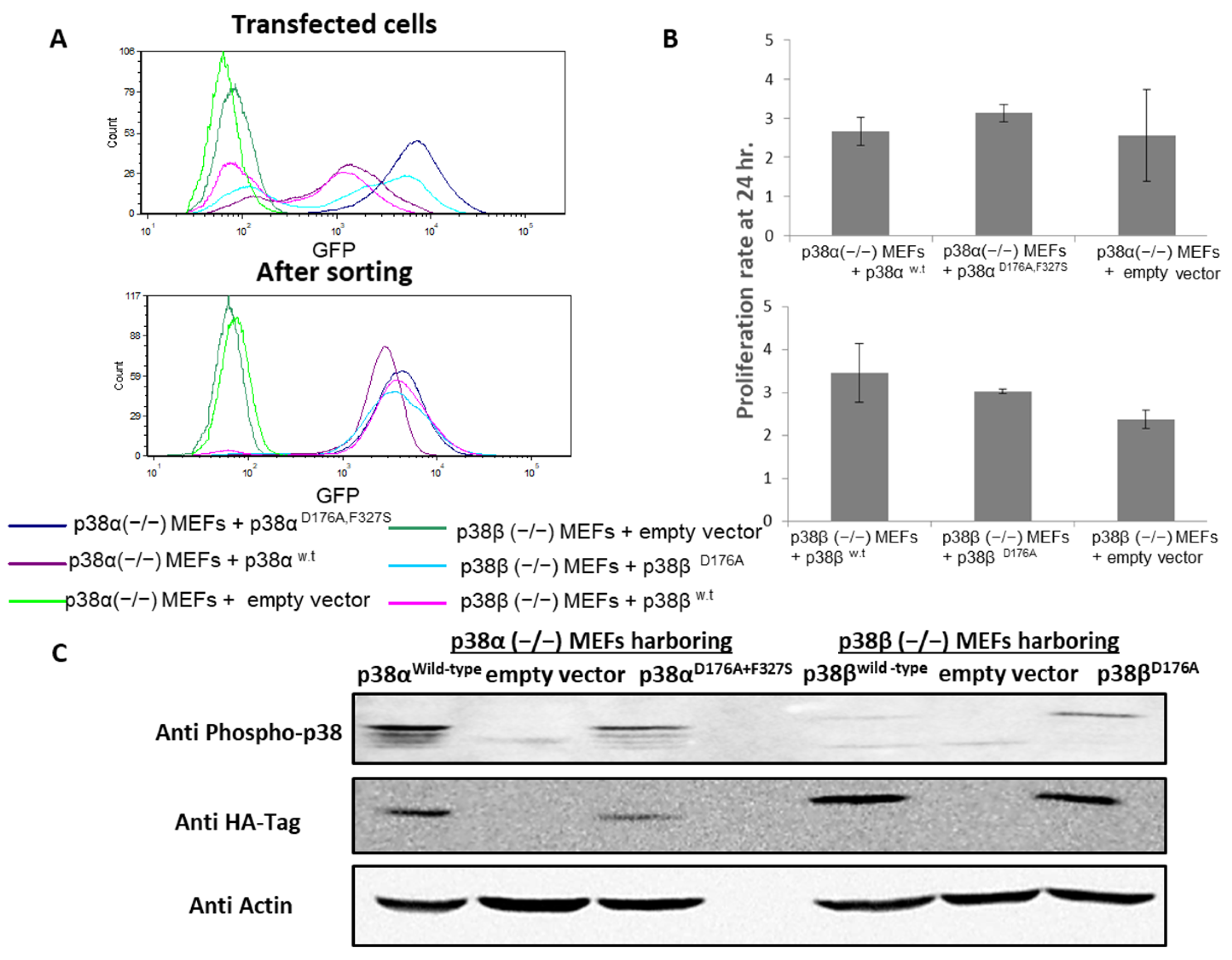 Ijms Free Full Text Differential Modulation Of The Phosphoproteome