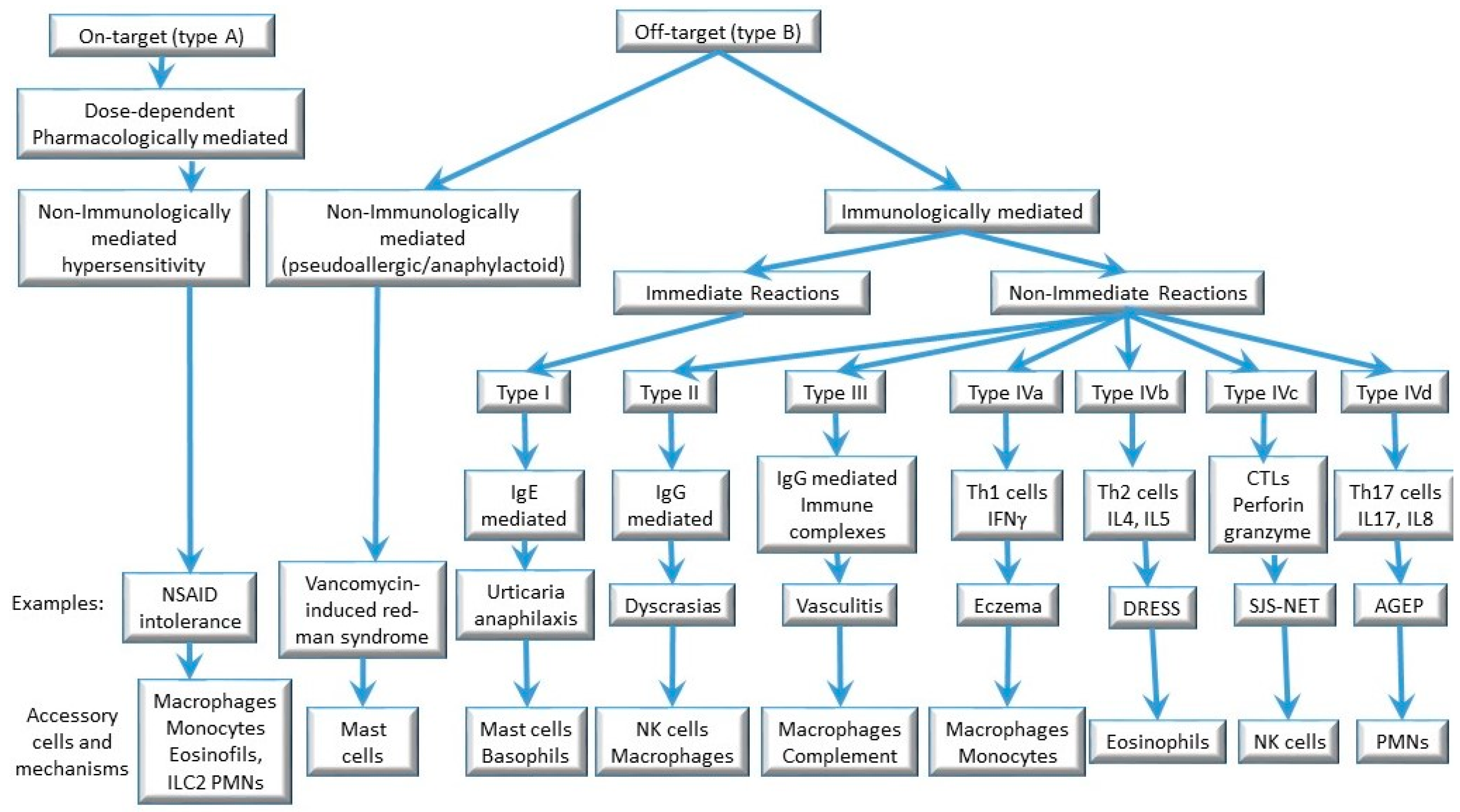 The Relationship Between Latex Allergies & Food - Hy-Tape