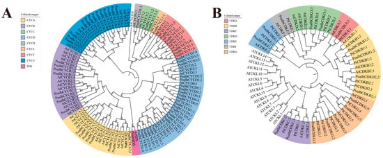 IJMS | Free Full-Text | Study on the Interactions of Cyclins with CDKs ...