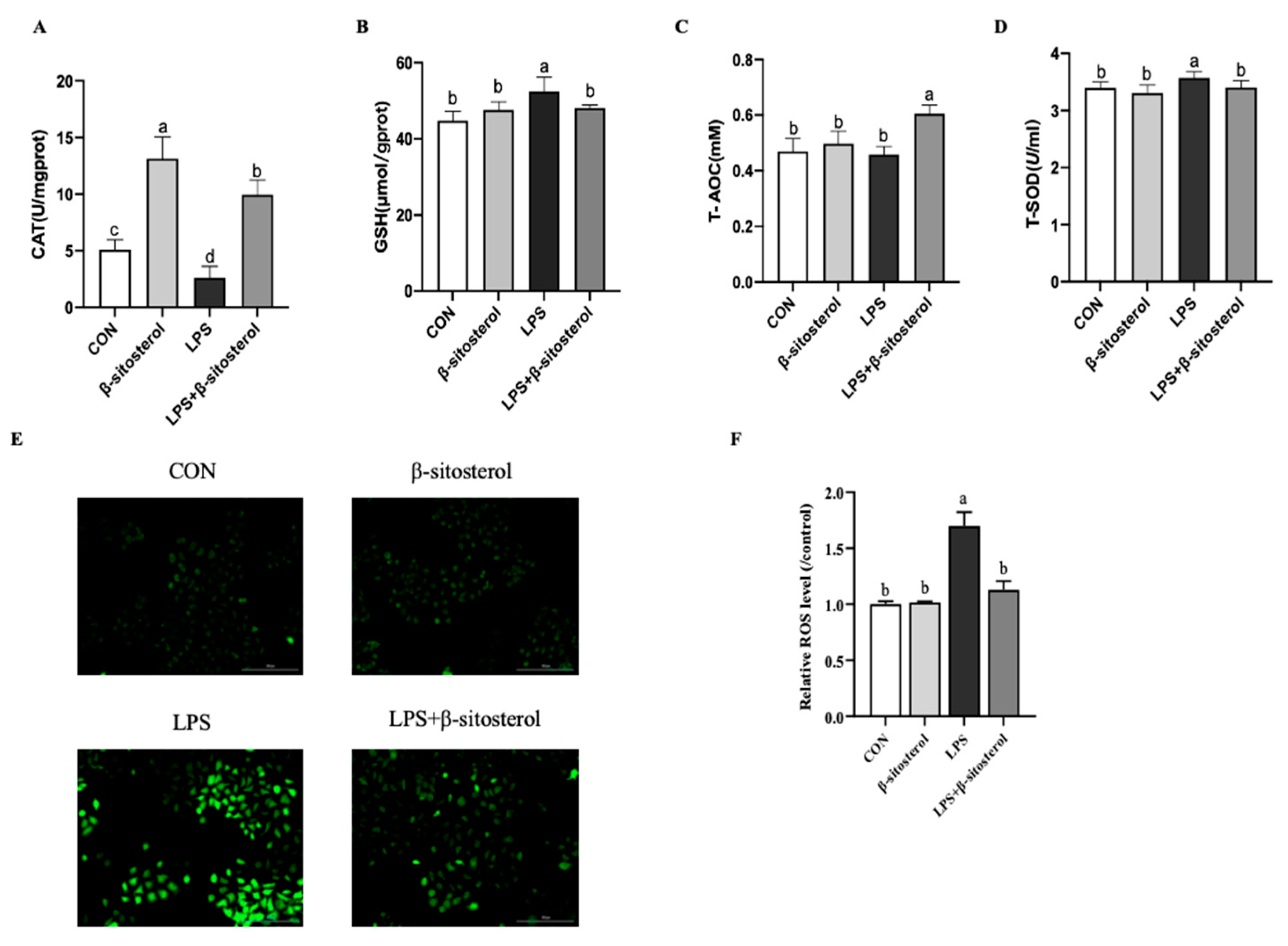 IJMS Free Full Text Sitosterol Suppresses