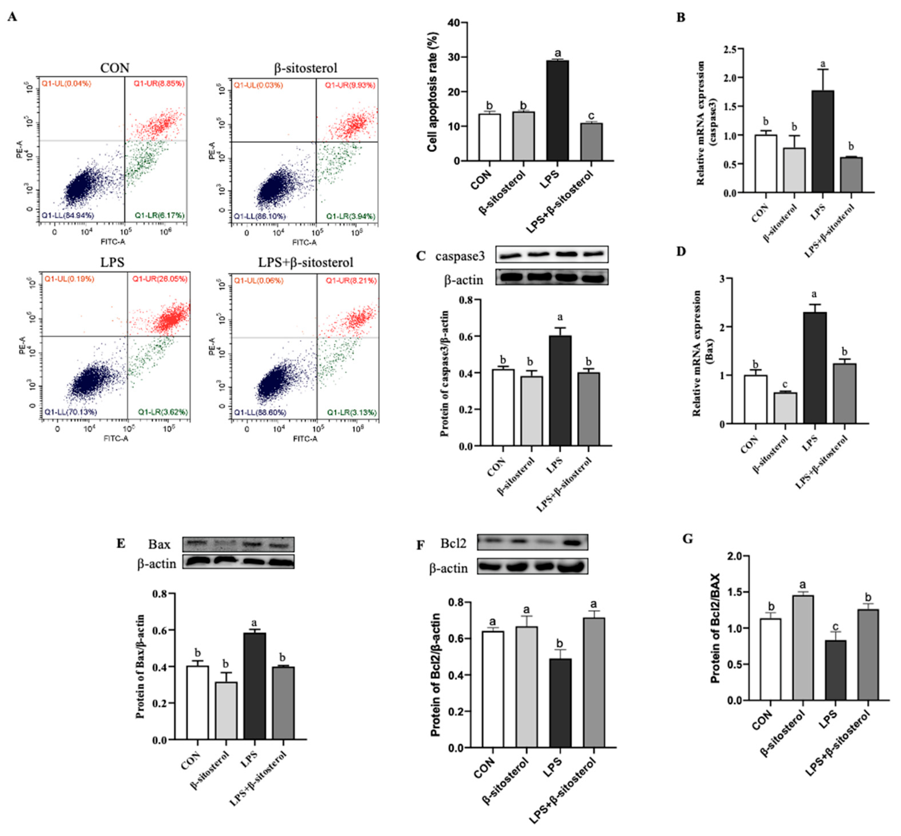 IJMS | Free Full-Text | β-Sitosterol Suppresses Lipopolysaccharide ...