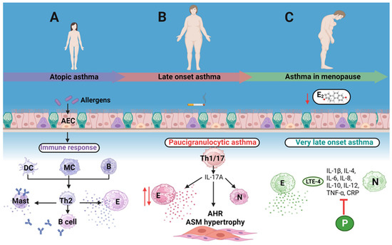 IJMS | Free Full-Text | Phytoestrogen-Based Hormonal Replacement