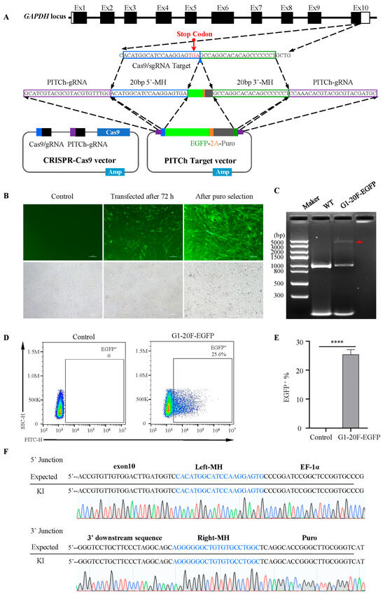 IJMS | Free Full-Text | Comparison of Multiple Strategies for Precision ...