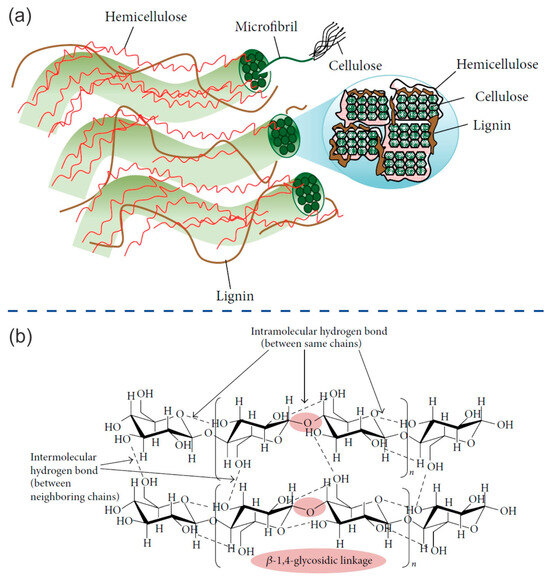 IJMS | Free Full-Text | Lignocellulosic Biomass for the