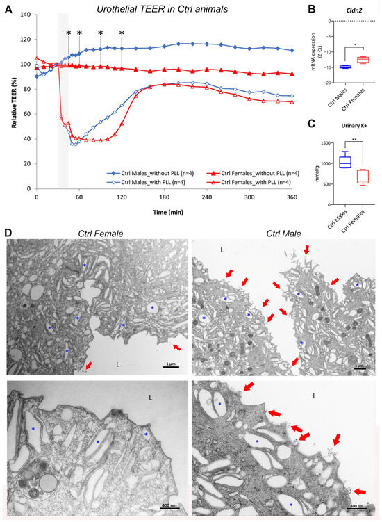 IJMS | Free Full-Text | Sex-Dependent Differences in Blood&ndash