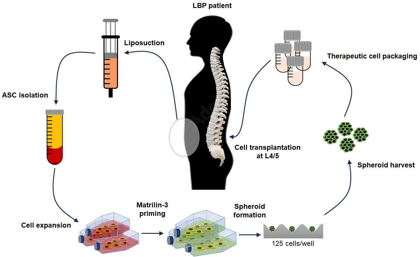 Stem Cell Plus - Help with Inflammation and Joint Pain- 100% Natural -  Stimulate Tissue and Cell Regeneration (2)