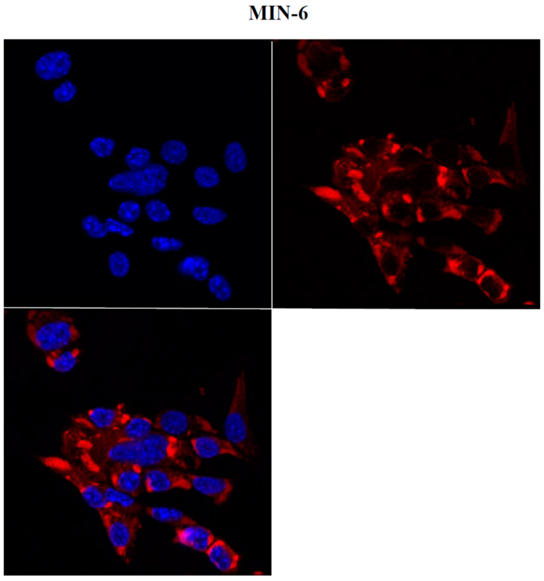 Ijms | free full-text | oncolytic effect of zika virus in