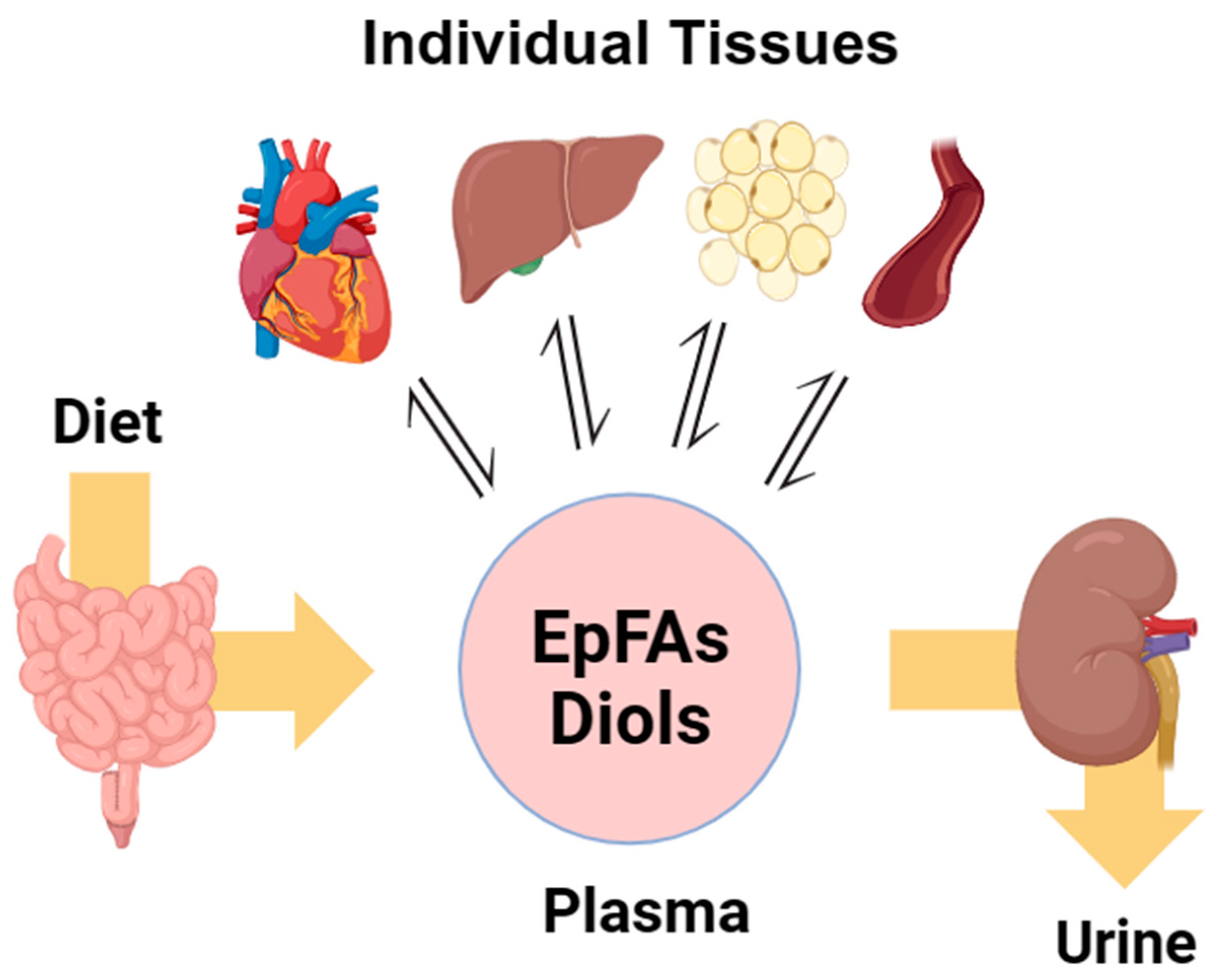 IJMS | Free Full-Text | Determinants of Meal-Induced Changes in 