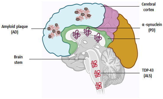 IJMS | Free Full-Text | Unraveling the Genetic Landscape of