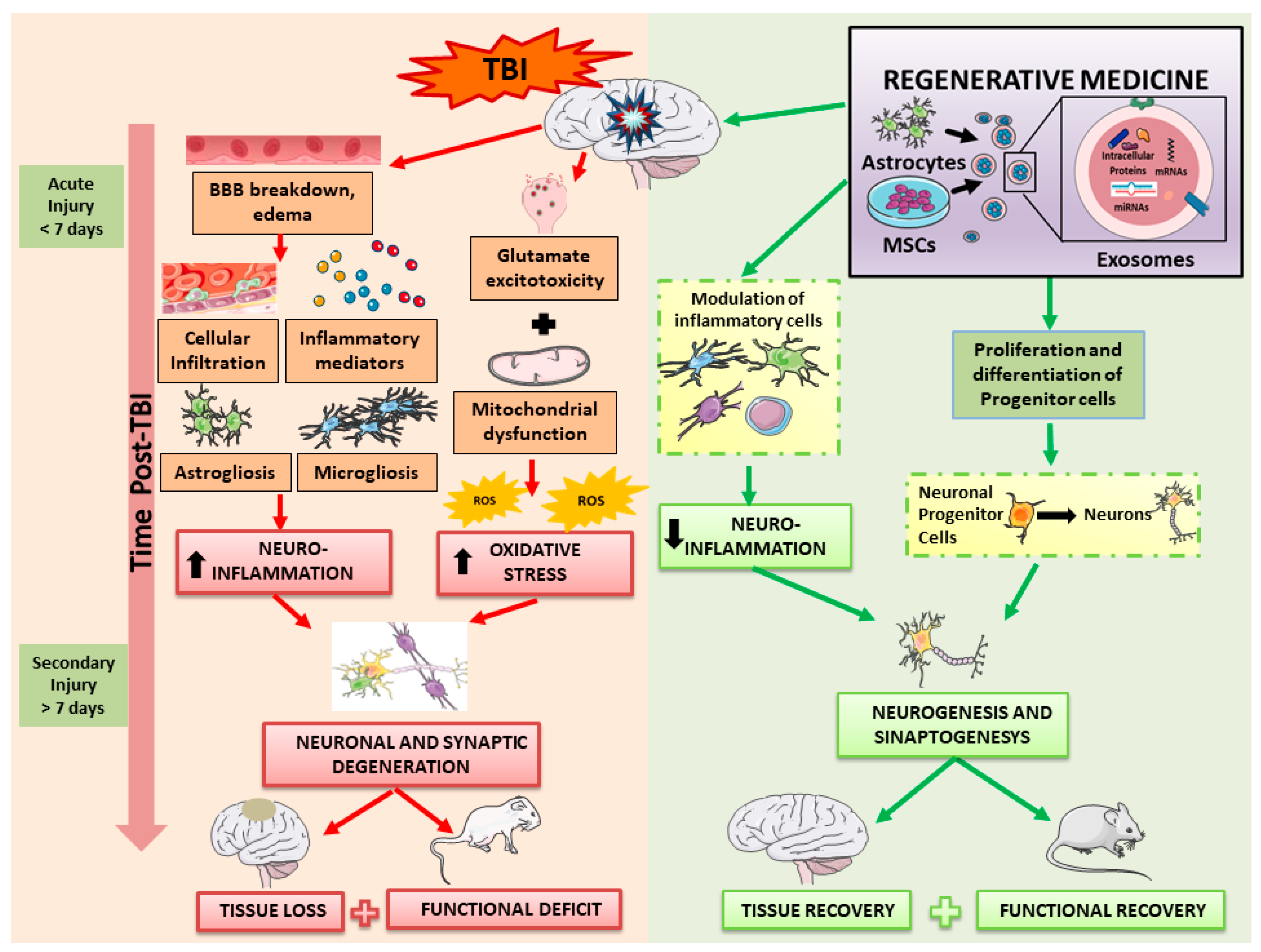 Innovative Insights Into Traumatic Brain Injuries Biomarkers And New Innovative Insights Into Traumatic Brain Injuries Biomarkers And New