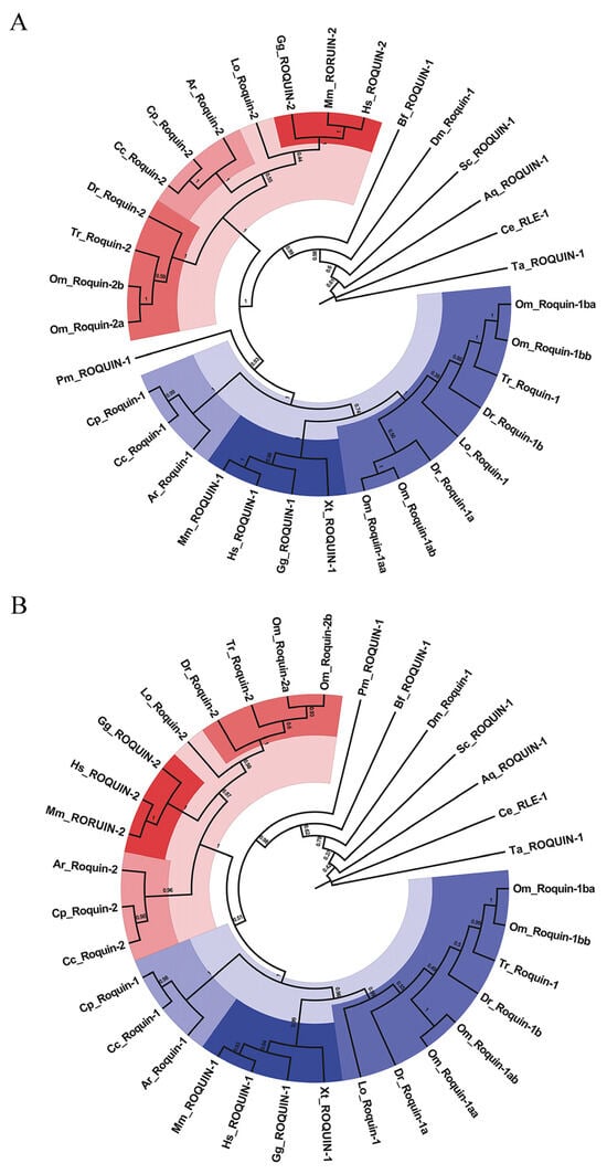 Roquin Bioinformatic Analysis of Roquin Family Reveals Their Potential Role in ...