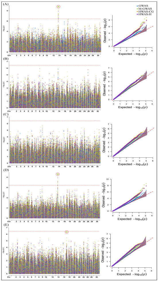 Neutral Polysaccharide from Platycodonis Radix-Ameliorated