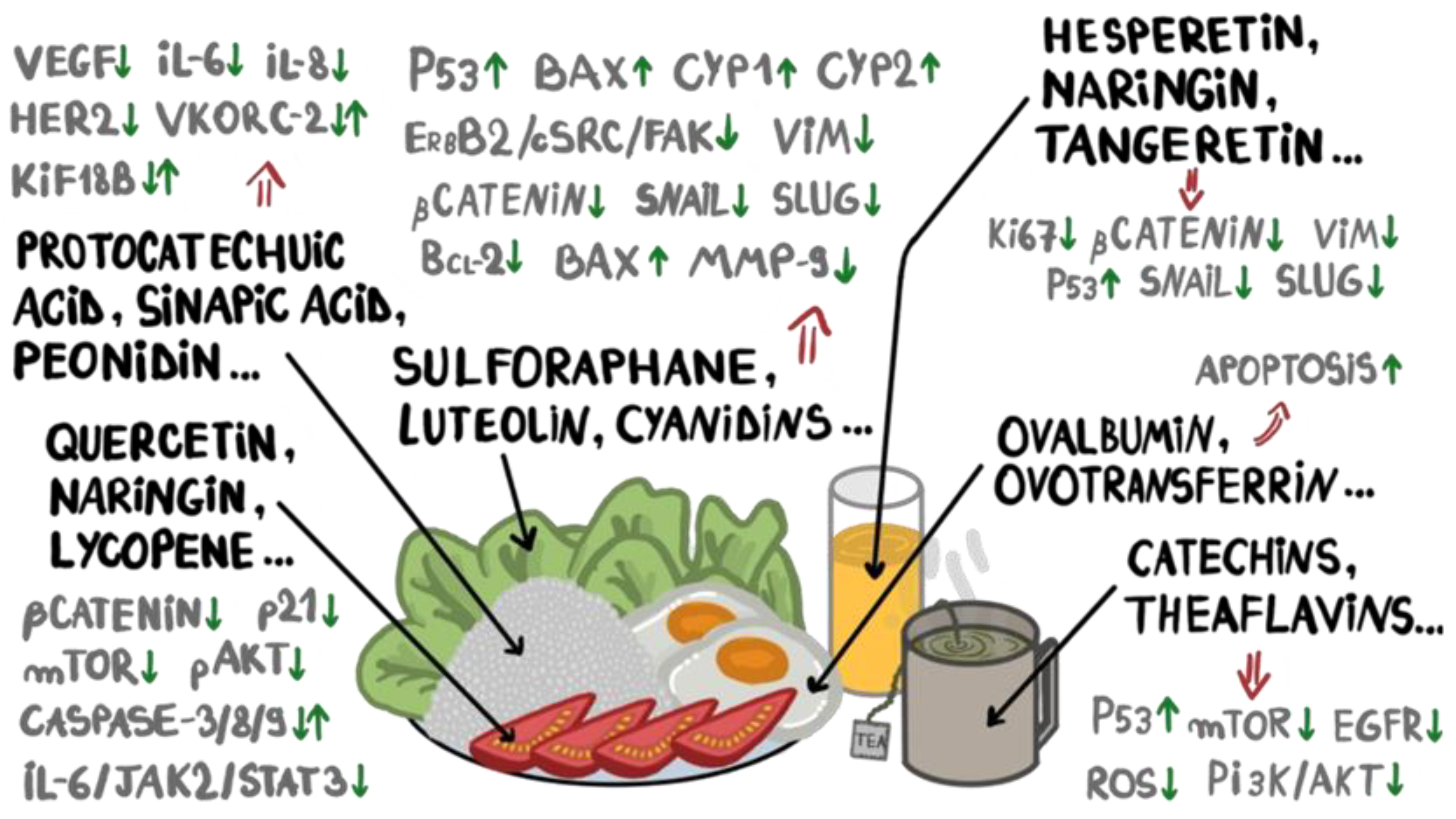 Double Edged Sword Effect of Diet and Nutrition on Carcinogenic  