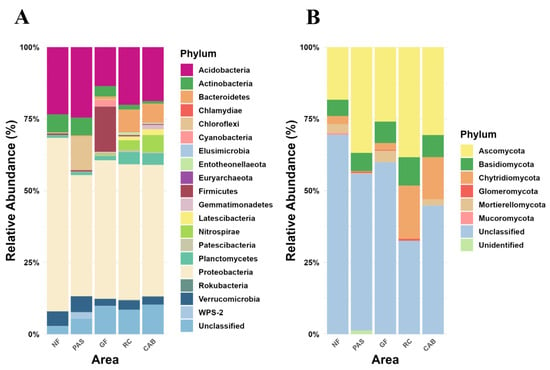 mdpi.com - Impact of Agroforestry Practices on Soil Microbial Diversity and Nutrient Cycling in Atlantic Rainforest Cocoa Systems