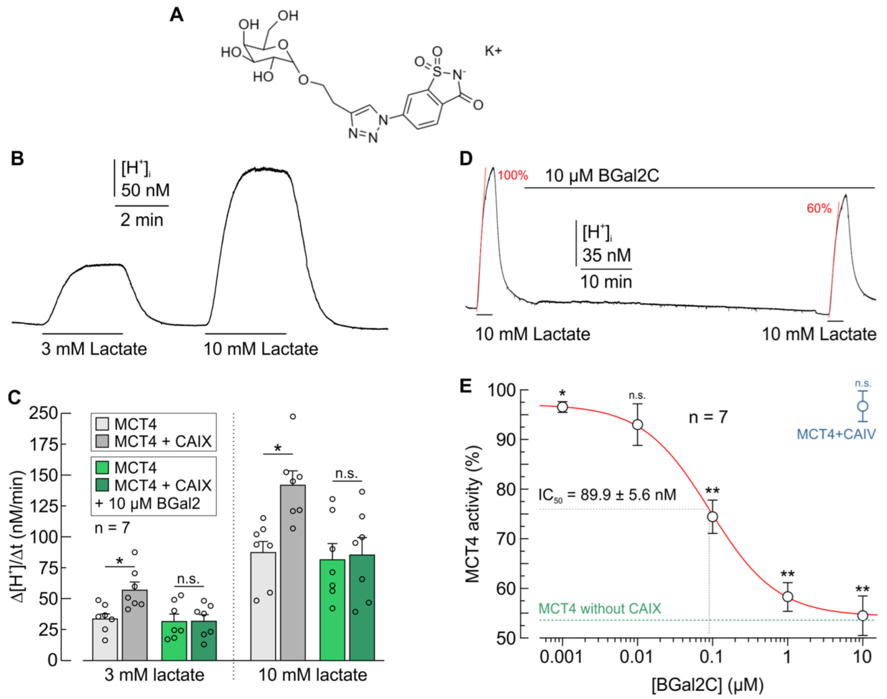Disruption of the Physical Interaction Between Carbonic