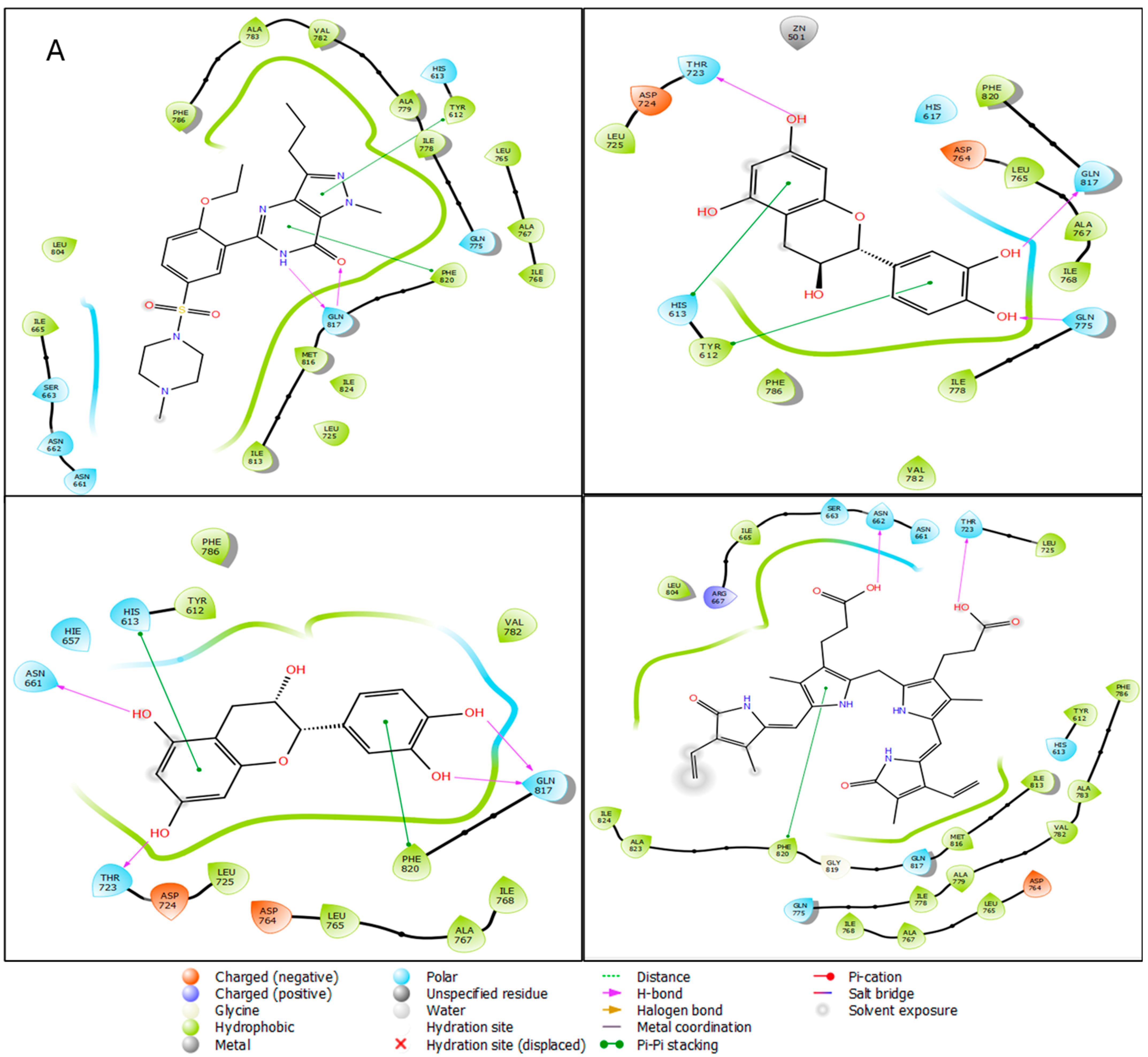 Computational Investigation Of The Therapeutic Potential Of Detarium ...