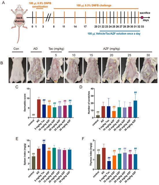 Anti-Atopic Dermatitis Effect of Azalomycin F on 2,4