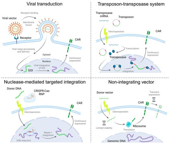 mdpi.com - Current Non-Viral-Based Strategies to Manufacture CAR-T Cells