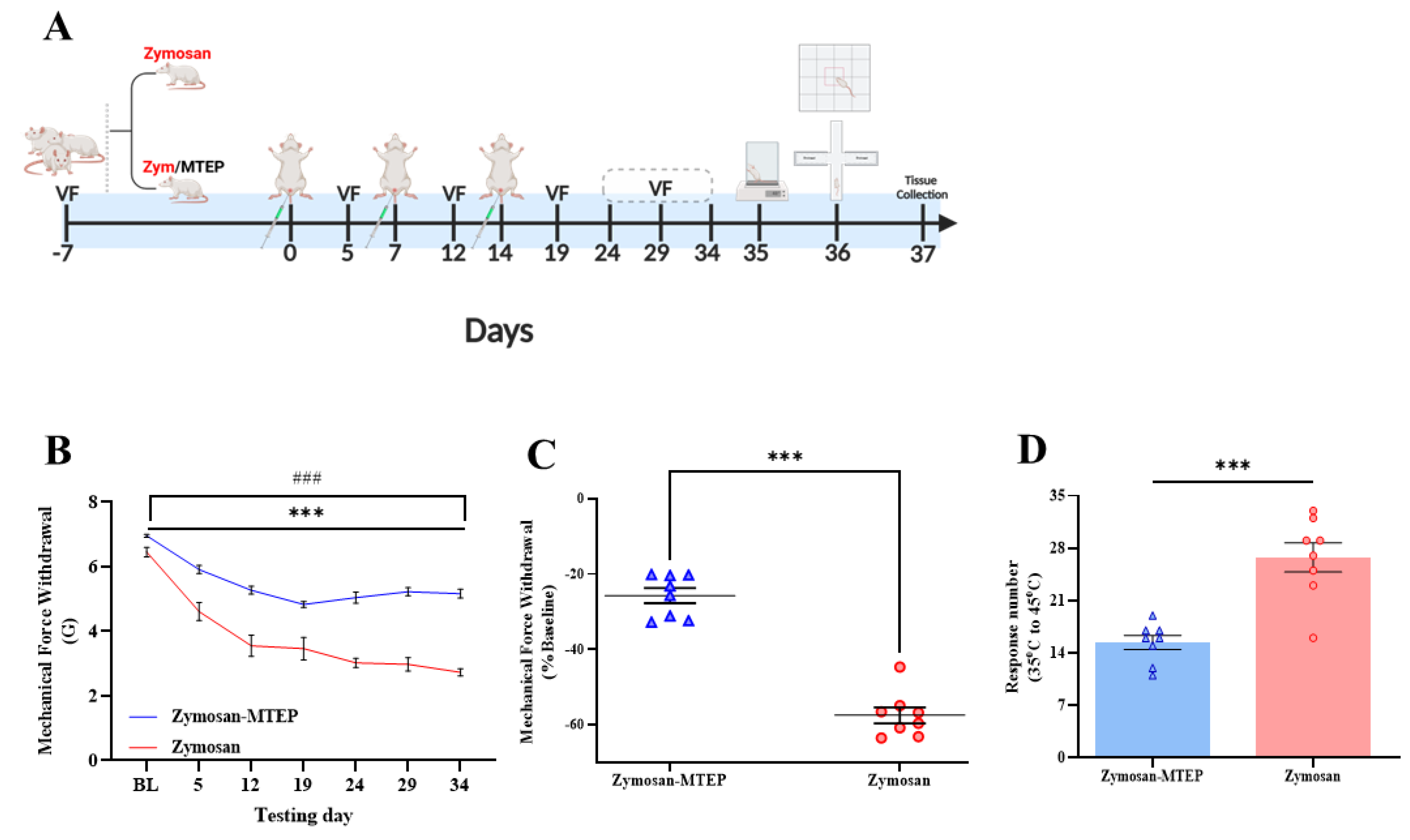 The Involvement Of Glutamate-mglur5 Signaling In The Development Of 