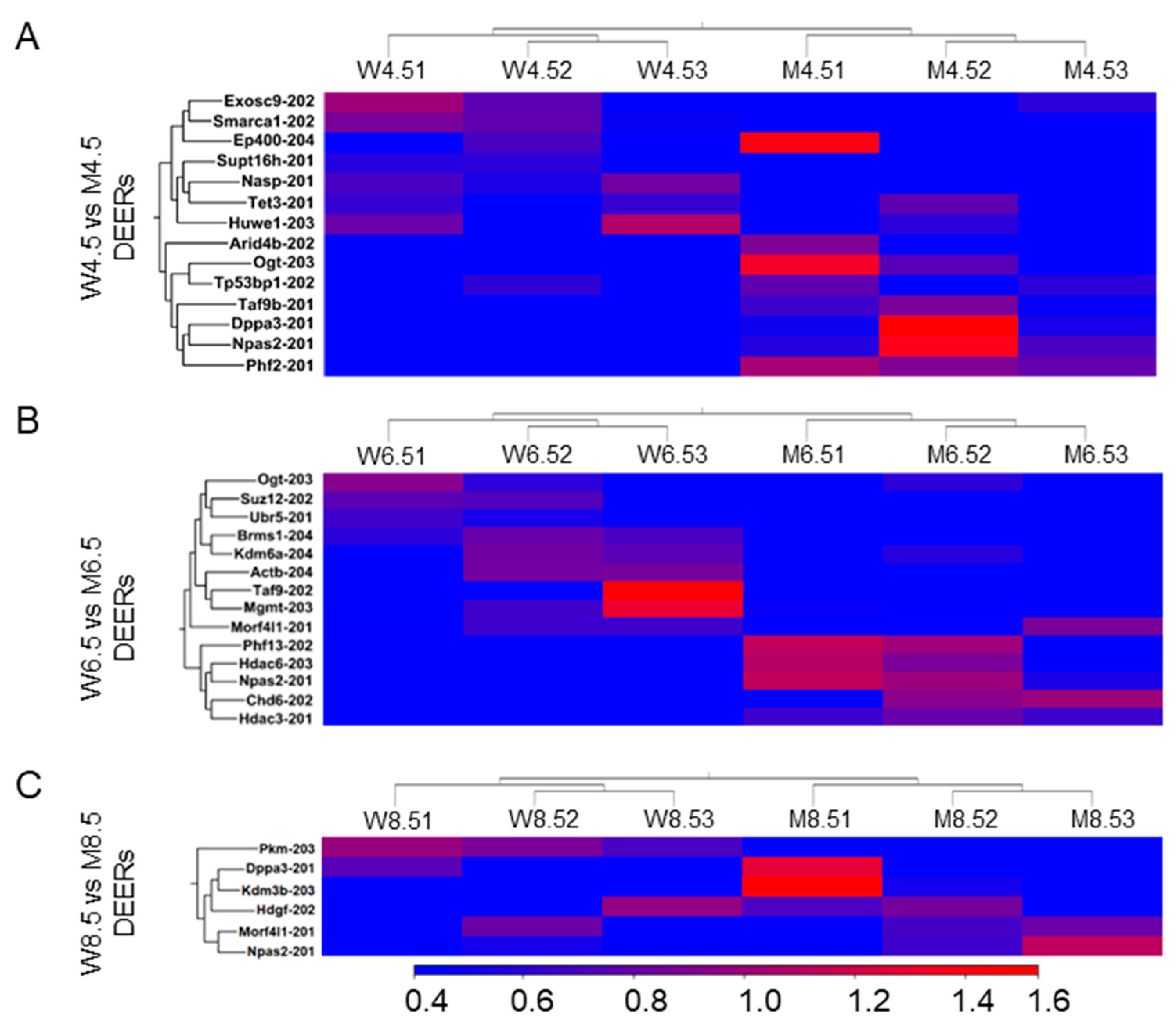 特別価格 Altered Expression of Epigenetic and Transcriptional アイドルグッズ