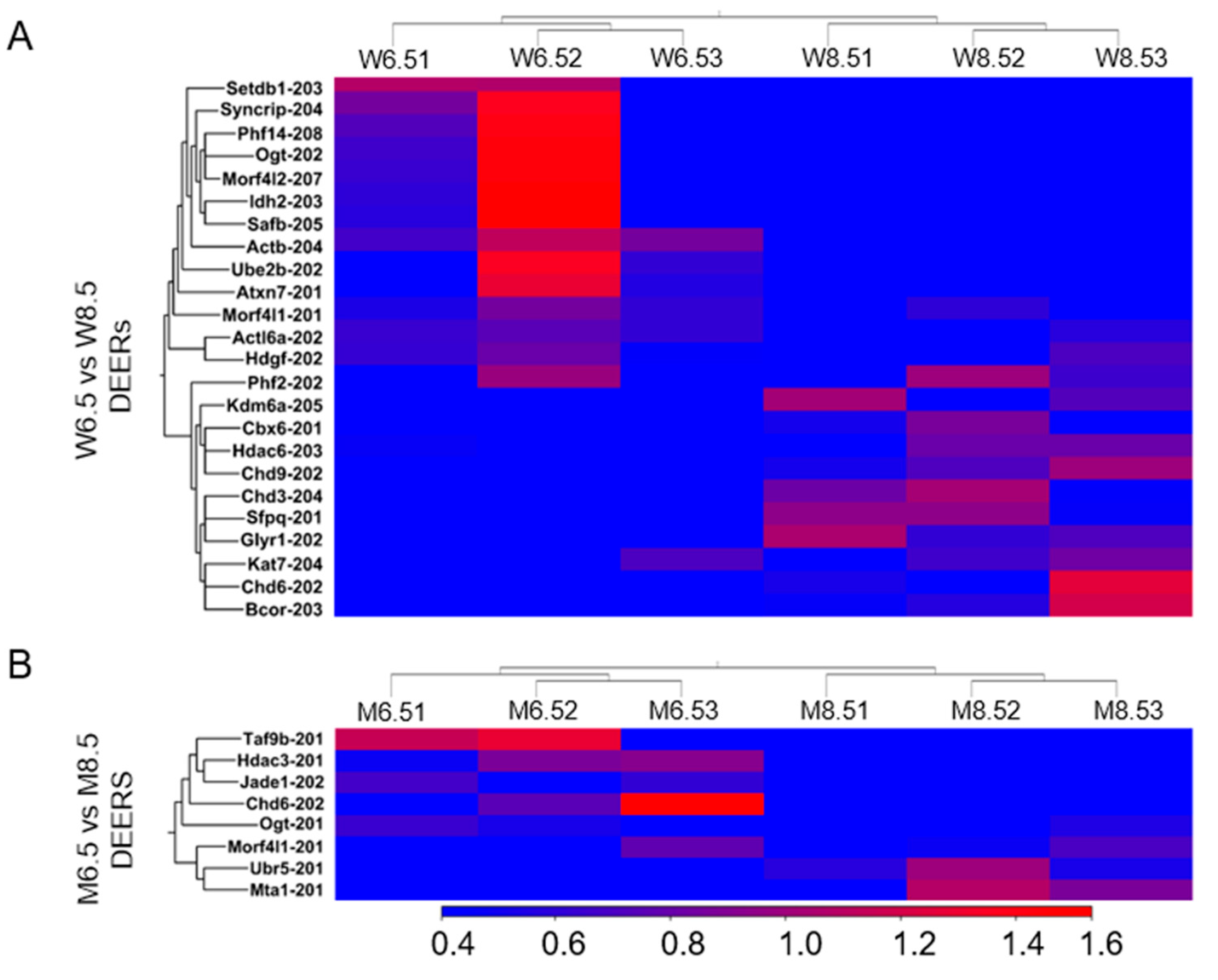 Altered Expression of Epigenetic and Transcriptional Regulators in ERβ ...