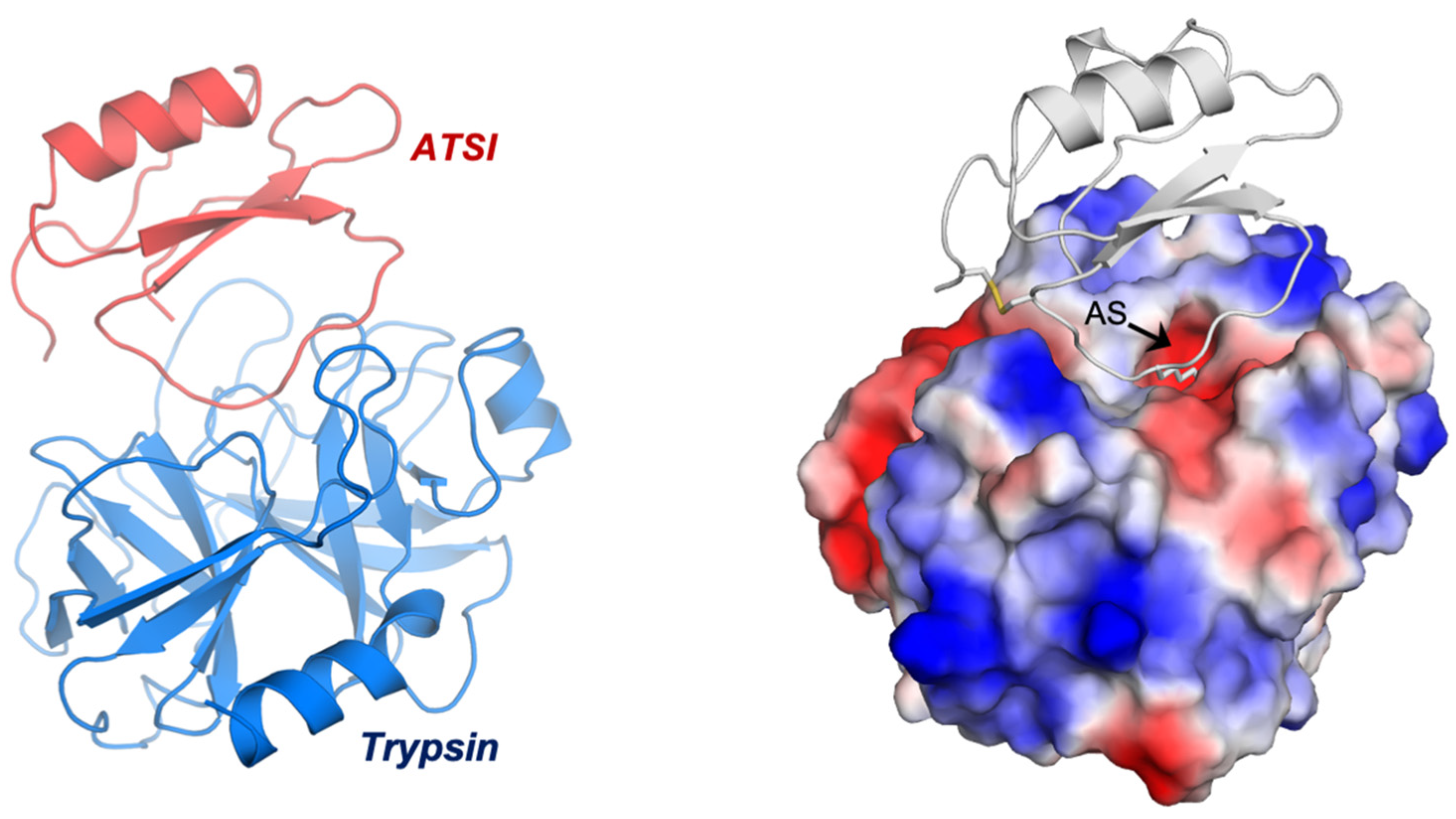 Analysis Of Protein Inhibitors Of Trypsin In Quinoa Amaranth And Analysis Of Protein Inhibitors Of Trypsin In Quinoa Amaranth And