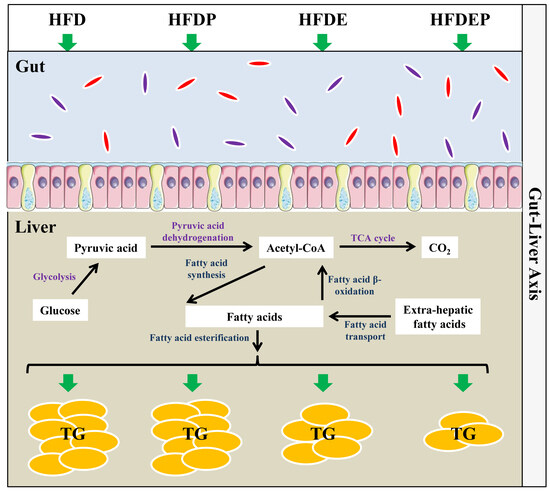 Aggregated Gas Molecules: Toxic to Protein? | Scientific Reports