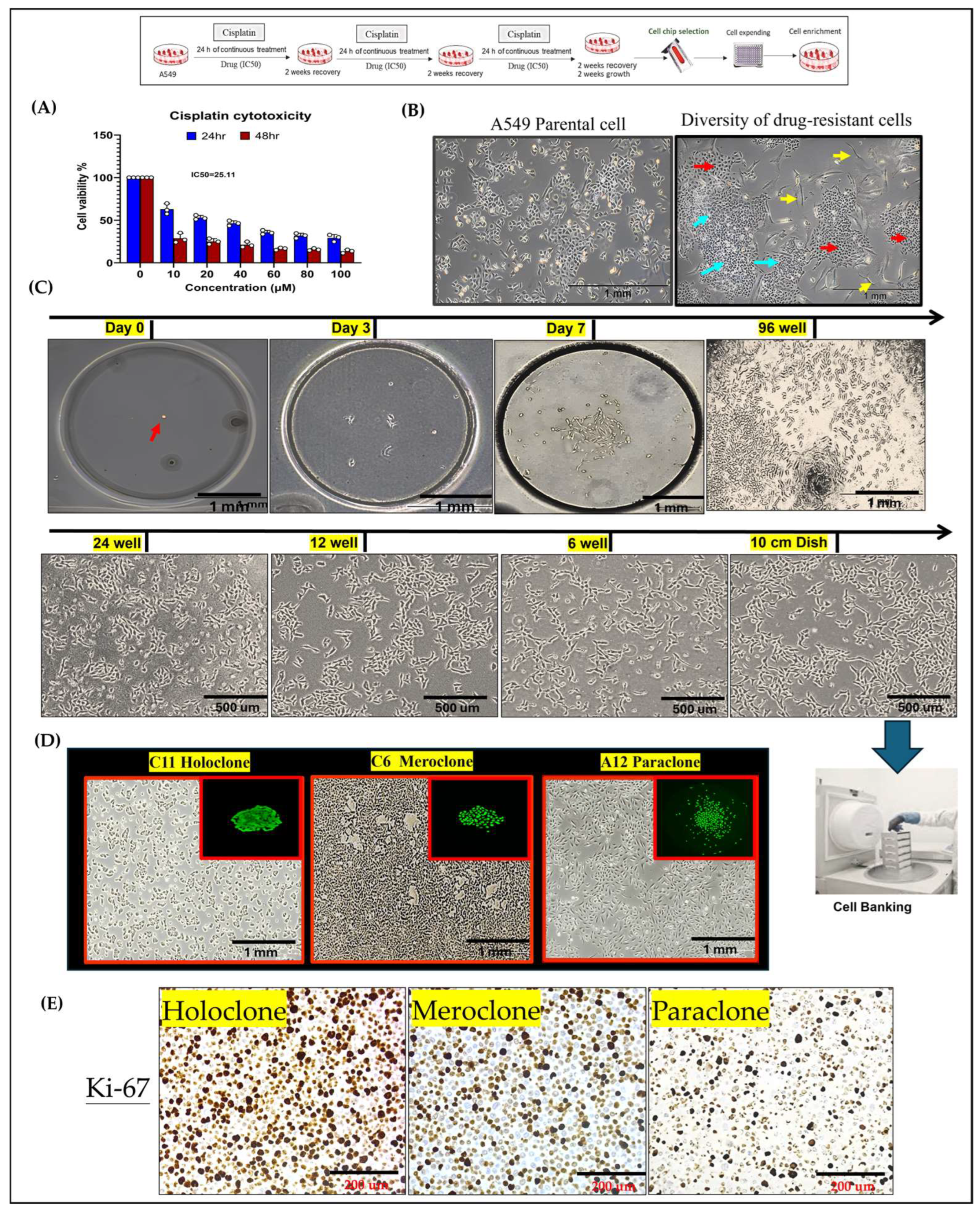 A wireless and battery-less implant for multimodal closed