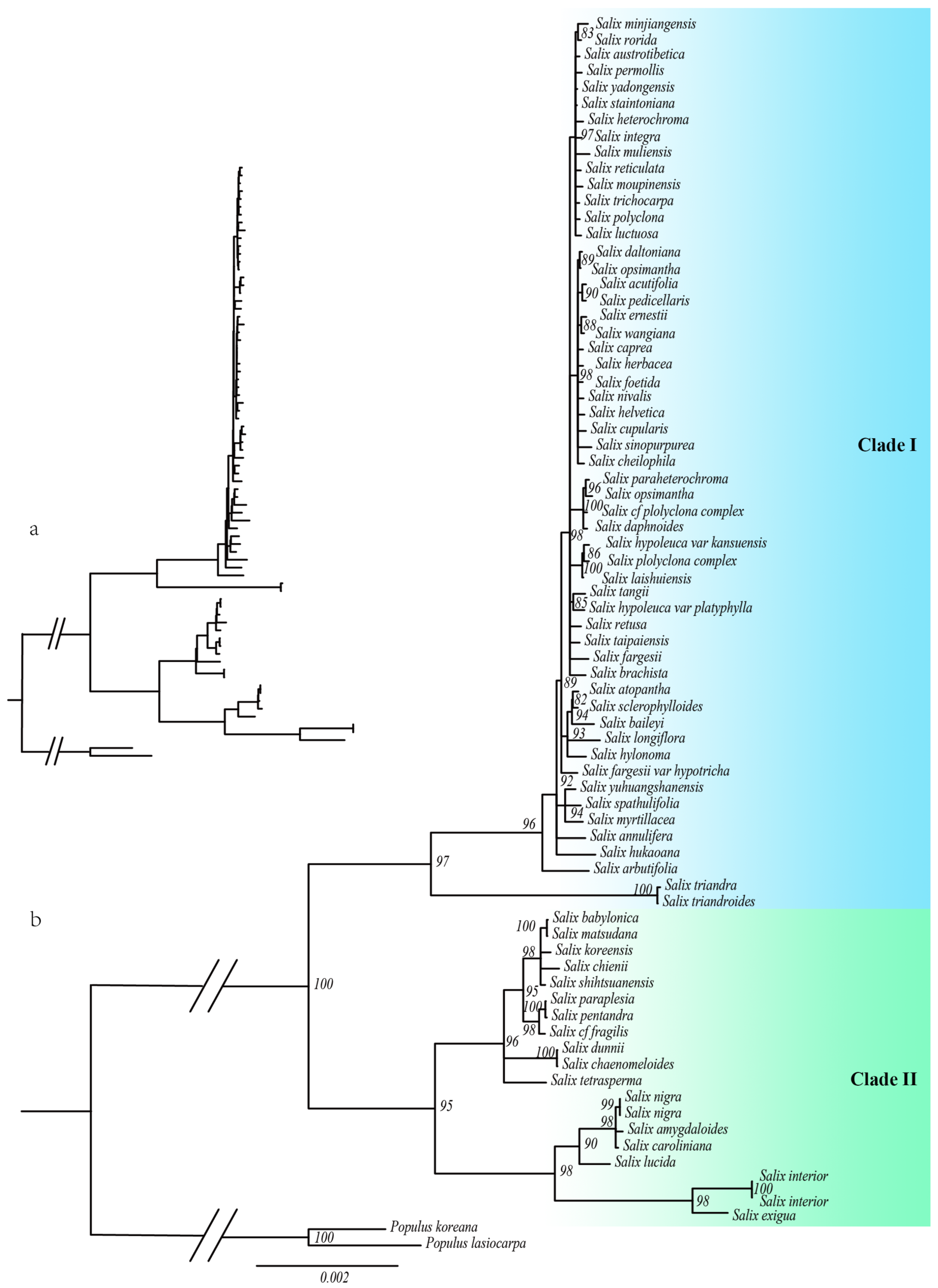 Comparative Chloroplast Genomics Reveals Intrageneric Comparative Chloroplast Genomics Reveals Intrageneric