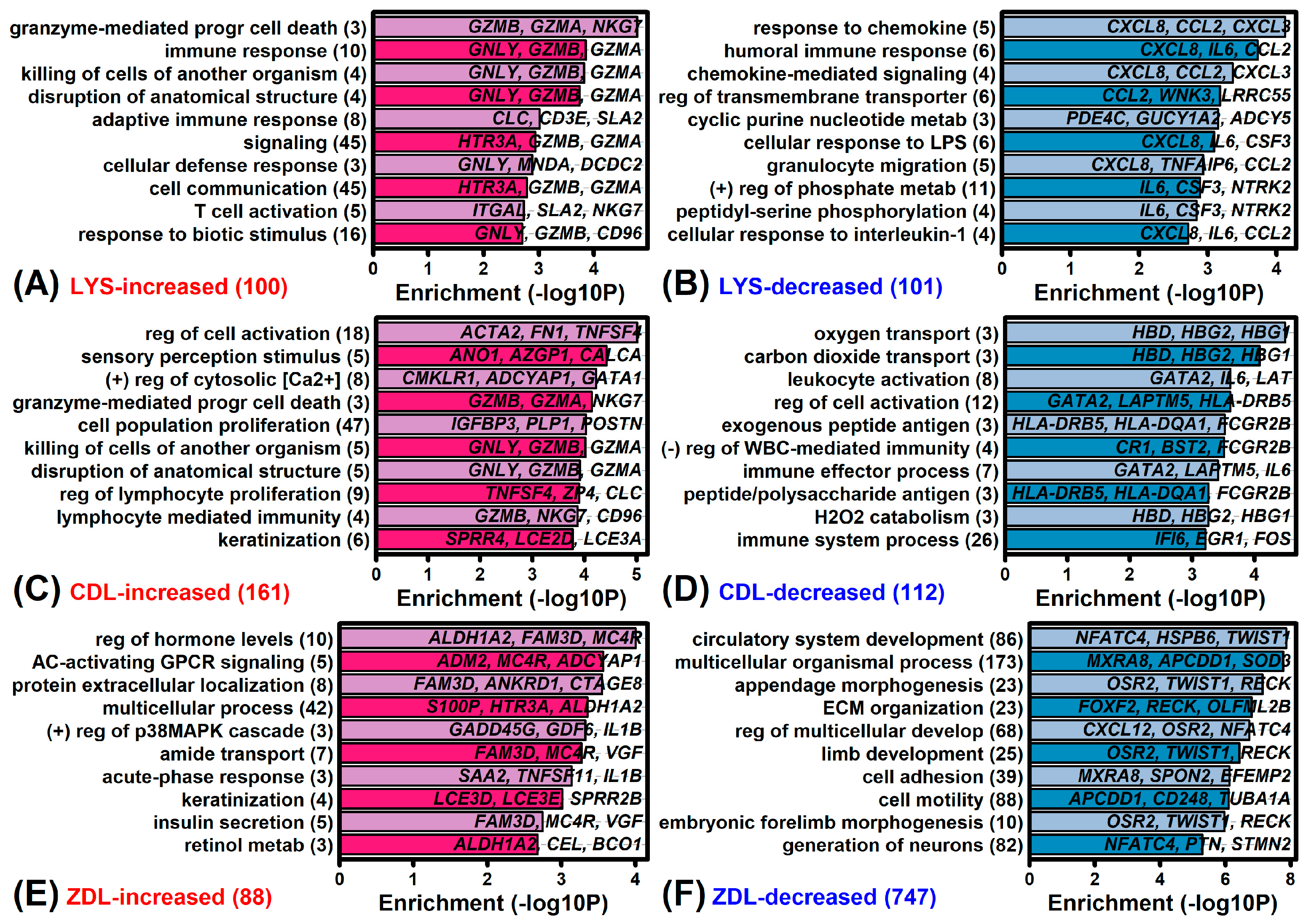 A Novel Butyrate Derivative, Zinc Dibutyroyllysinate, Blunts ...