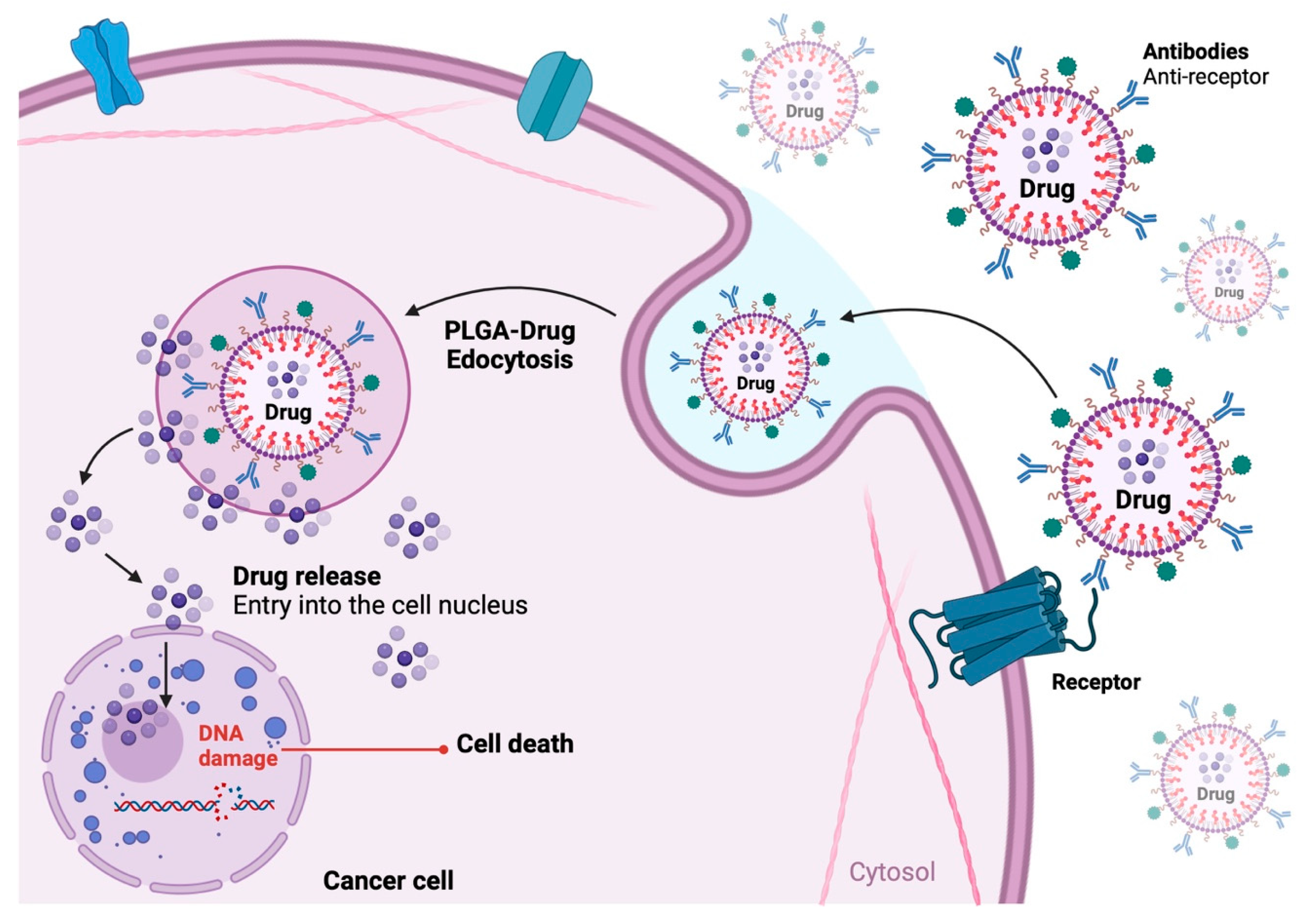 Functionalized Nanomaterials in Cancer Treatment: A Review