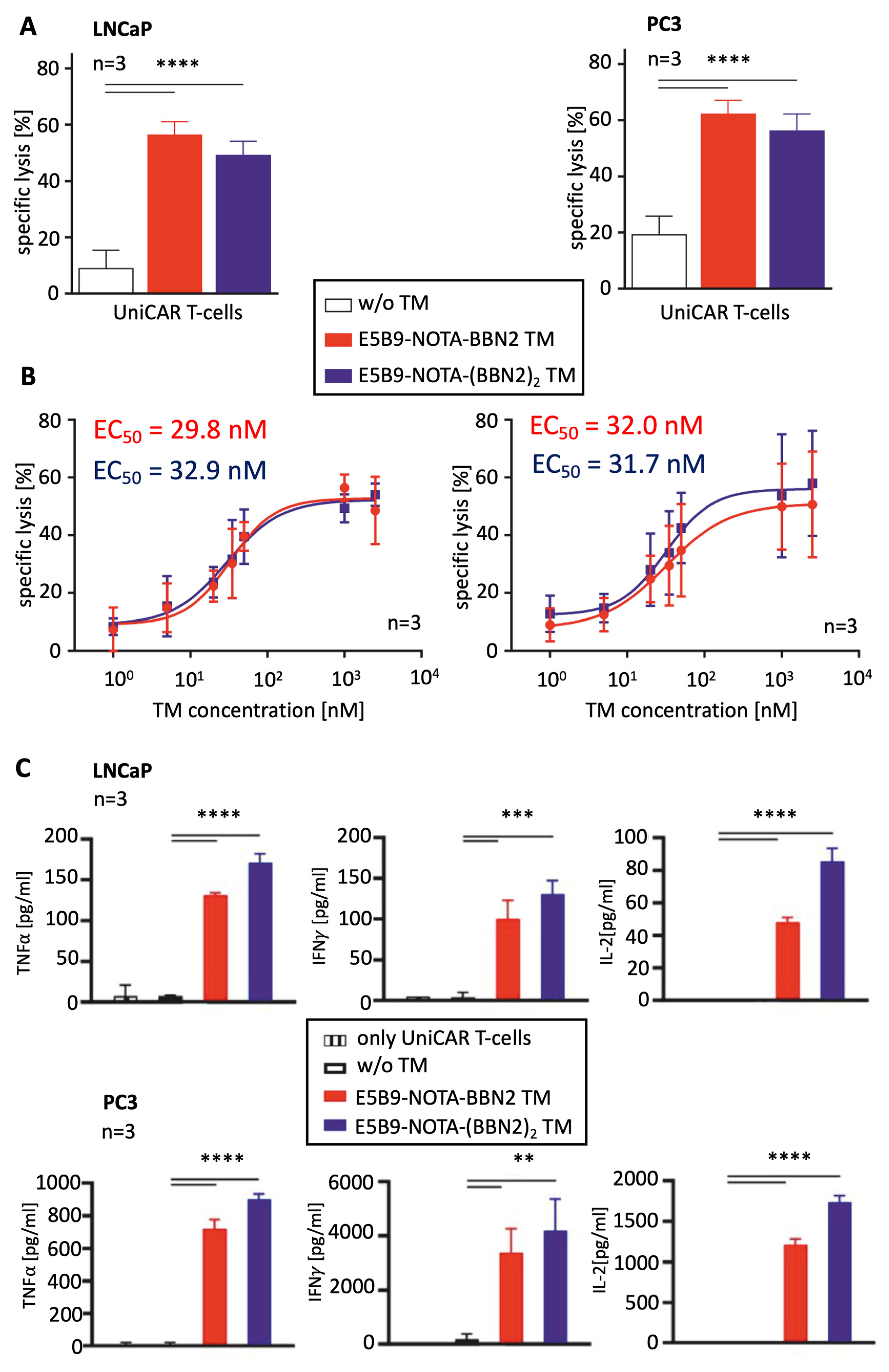 Tackling Prostate Cancer with Theranostic E5B9-Bombesin Target Modules ...