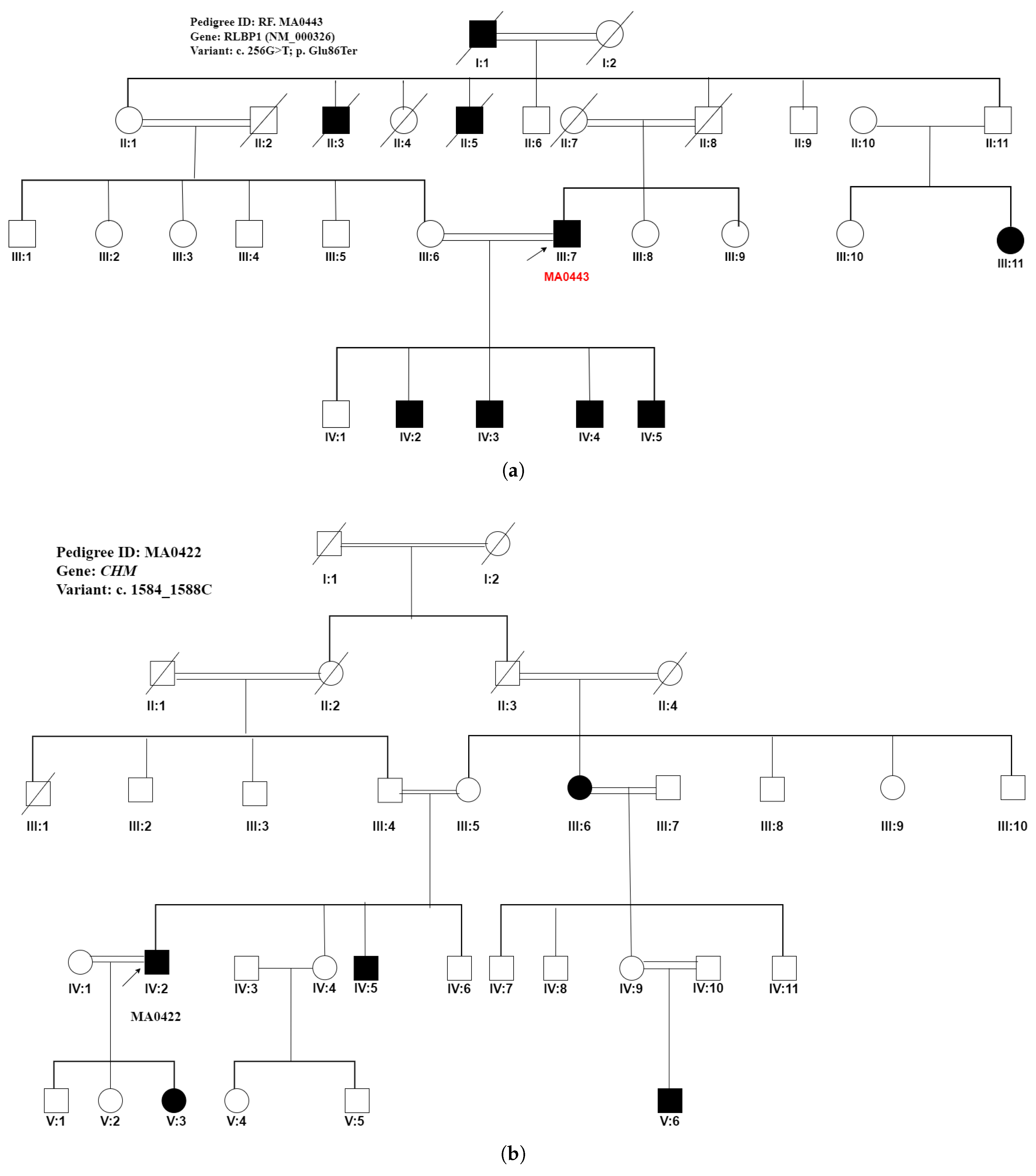 Deciphering the Genetic Basis of Degenerative and Developmental Eye ...