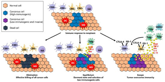 The Role of the Tumor Microenvironment (TME) in Advancing Cancer ...