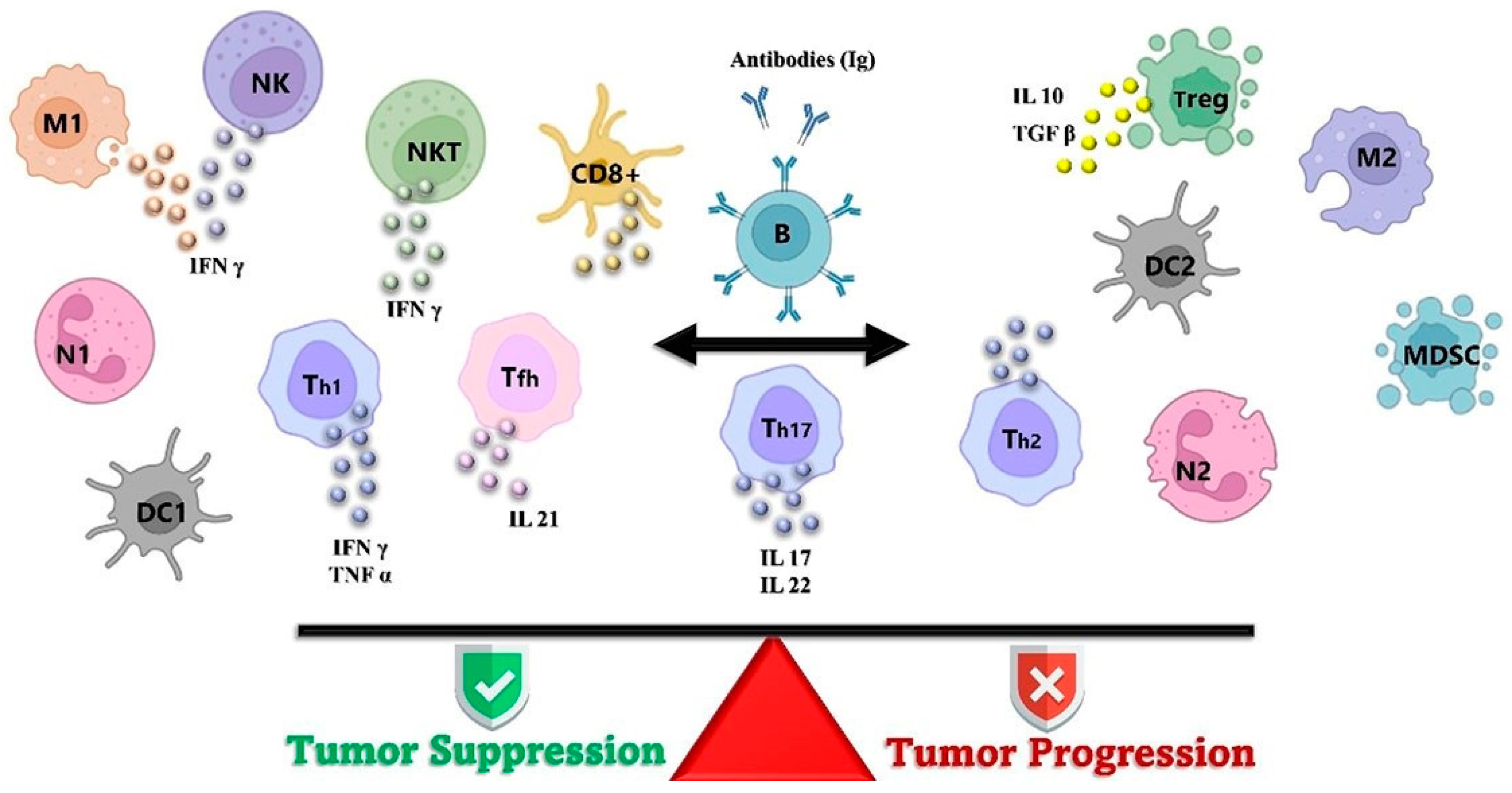 The Role of the Tumor Microenvironment (TME) in Advancing Cancer ...