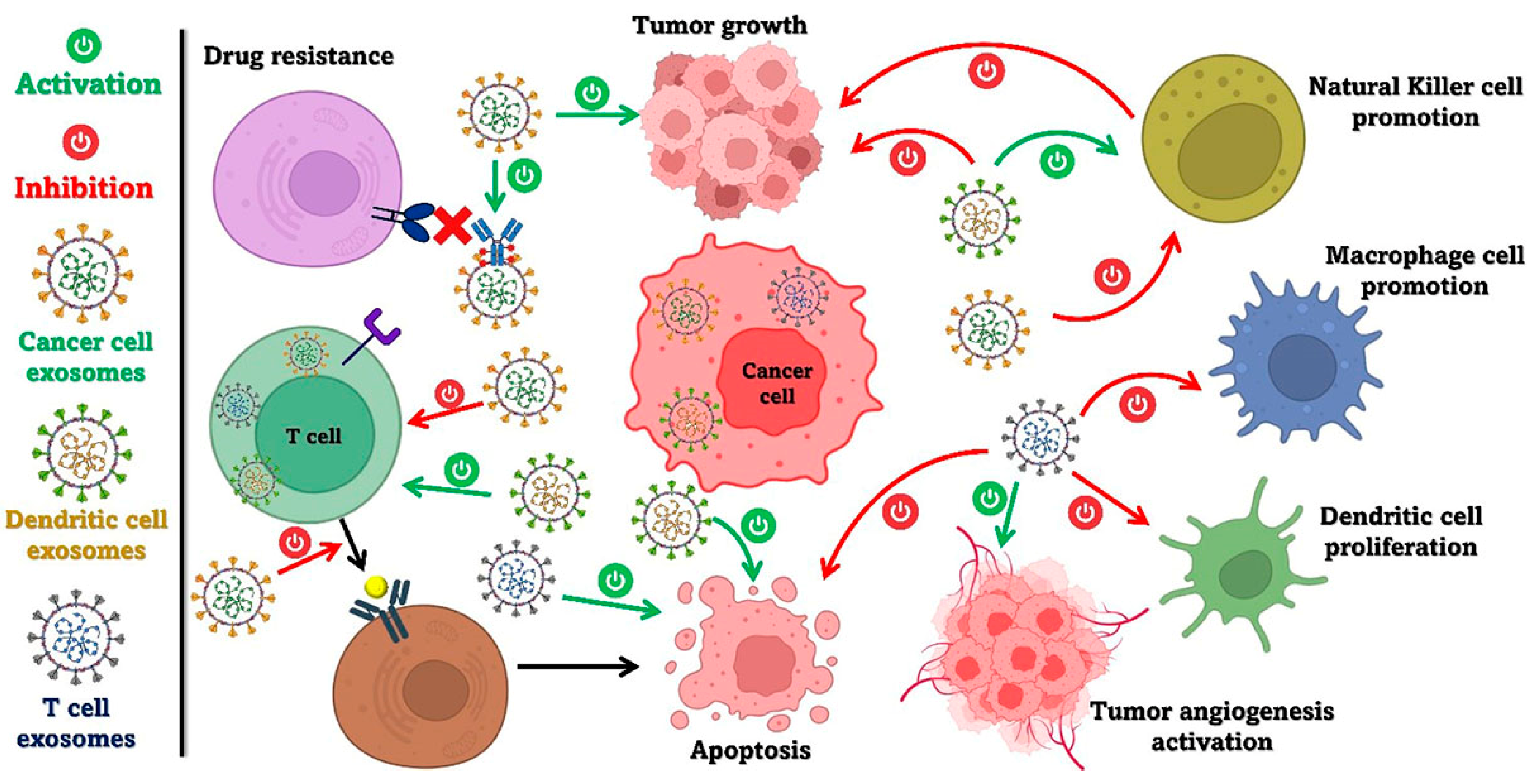 The Role of the Tumor Microenvironment (TME) in Advancing Cancer ...