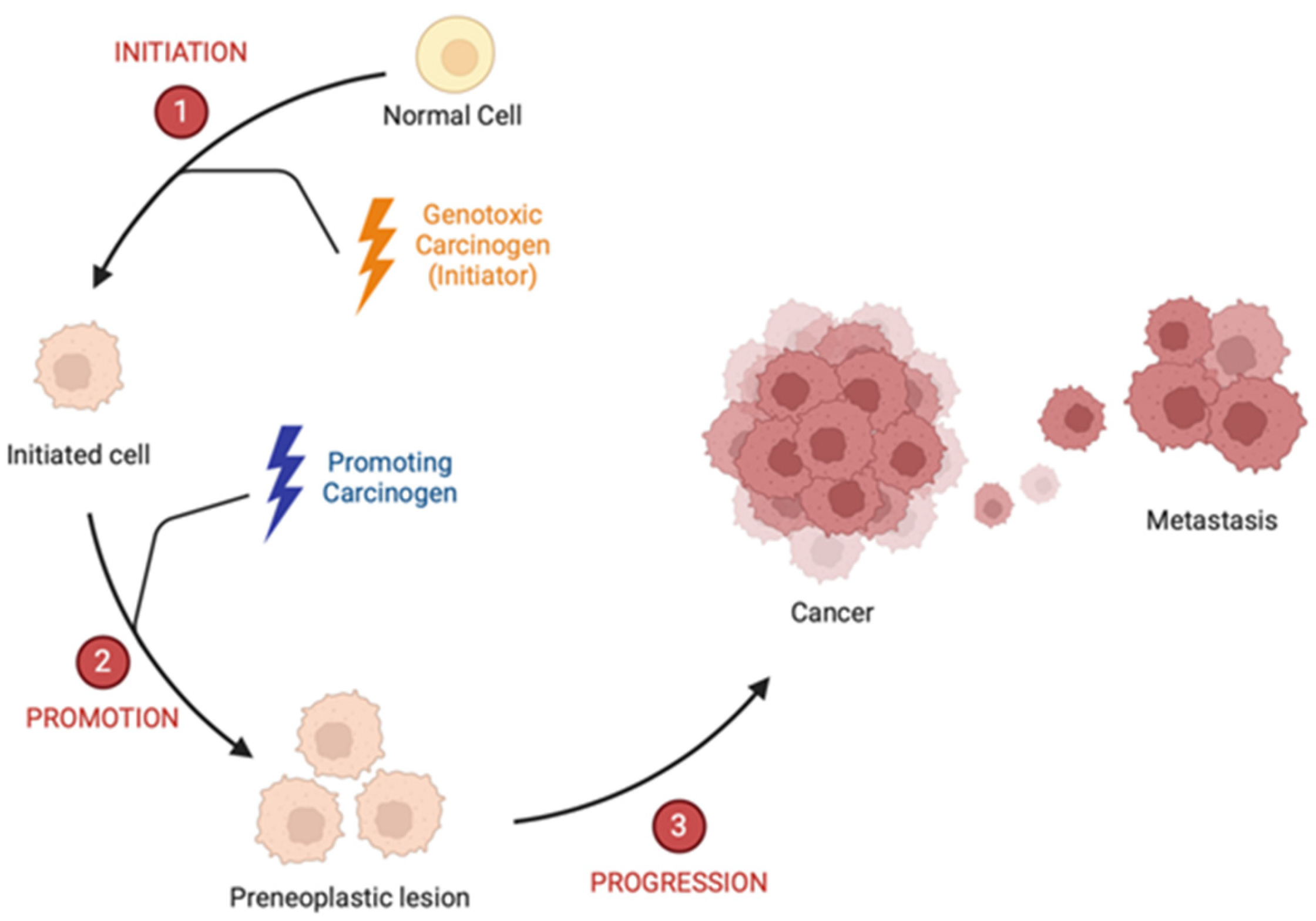 AhR and STAT3: A Dangerous Duo in Chemical Carcinogenesis