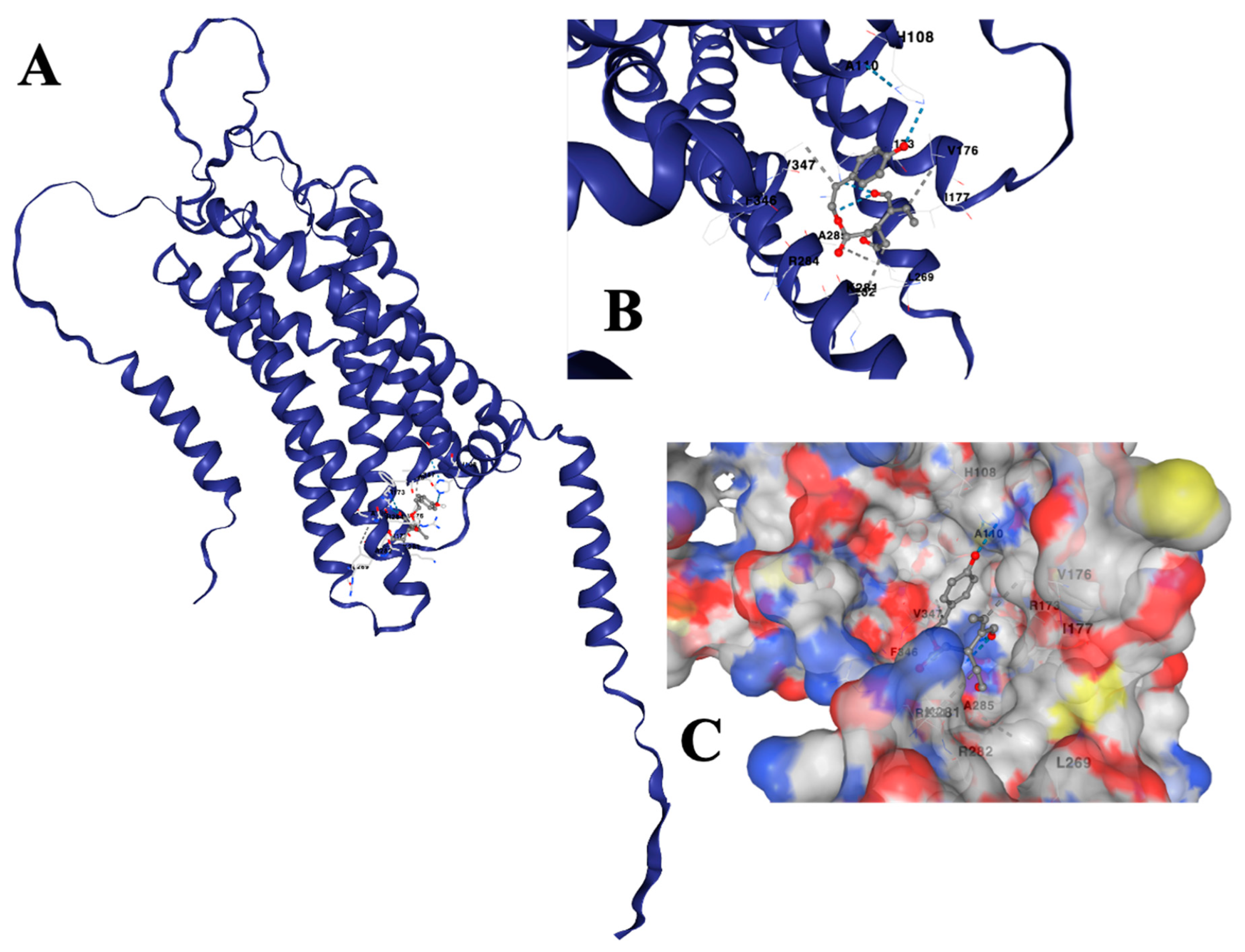 Selective Modulation of PAR-2-Driven Inflammatory Pathways