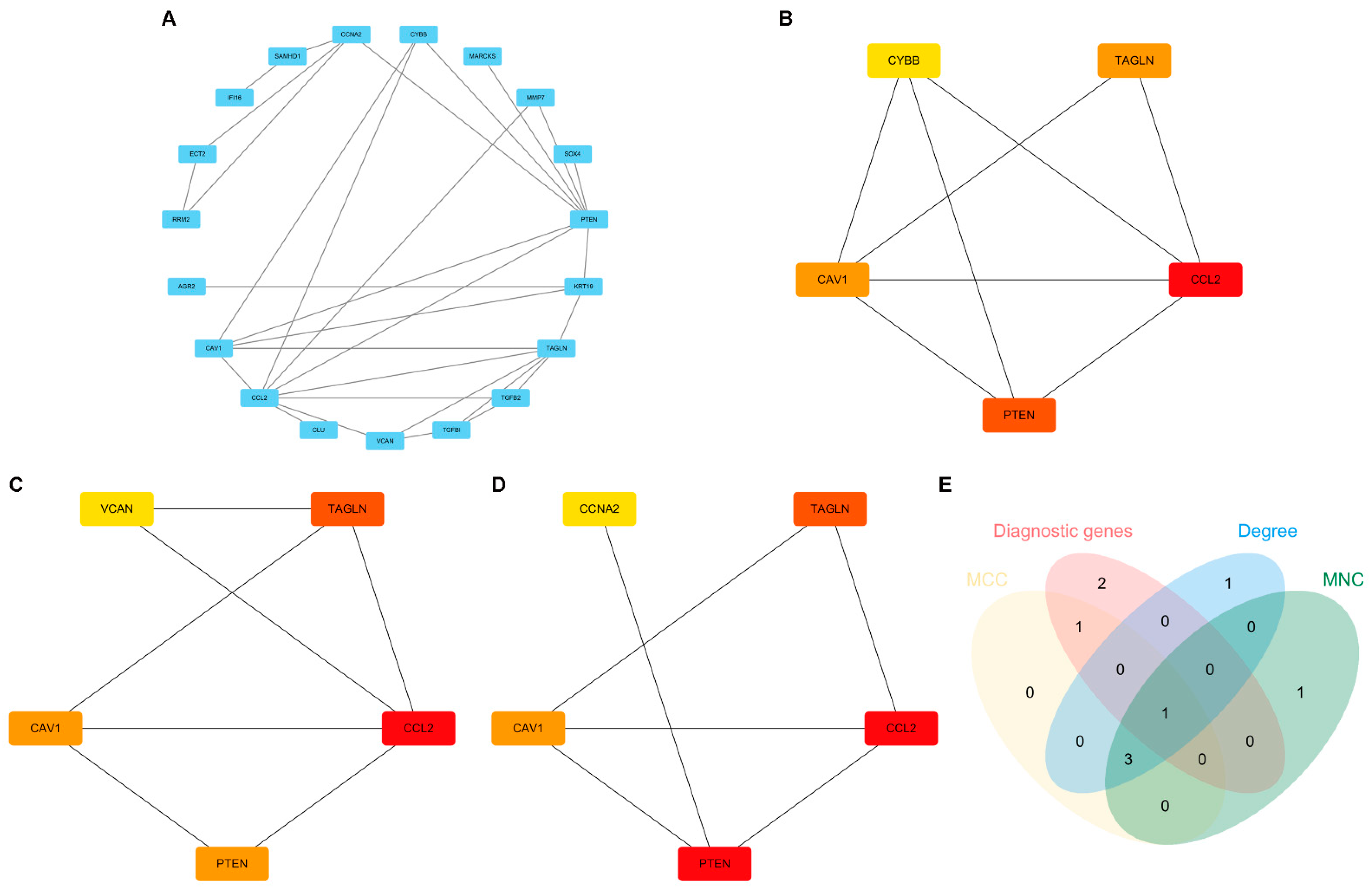 PTEN: A Novel Diabetes Nephropathy Protective Gene Related
