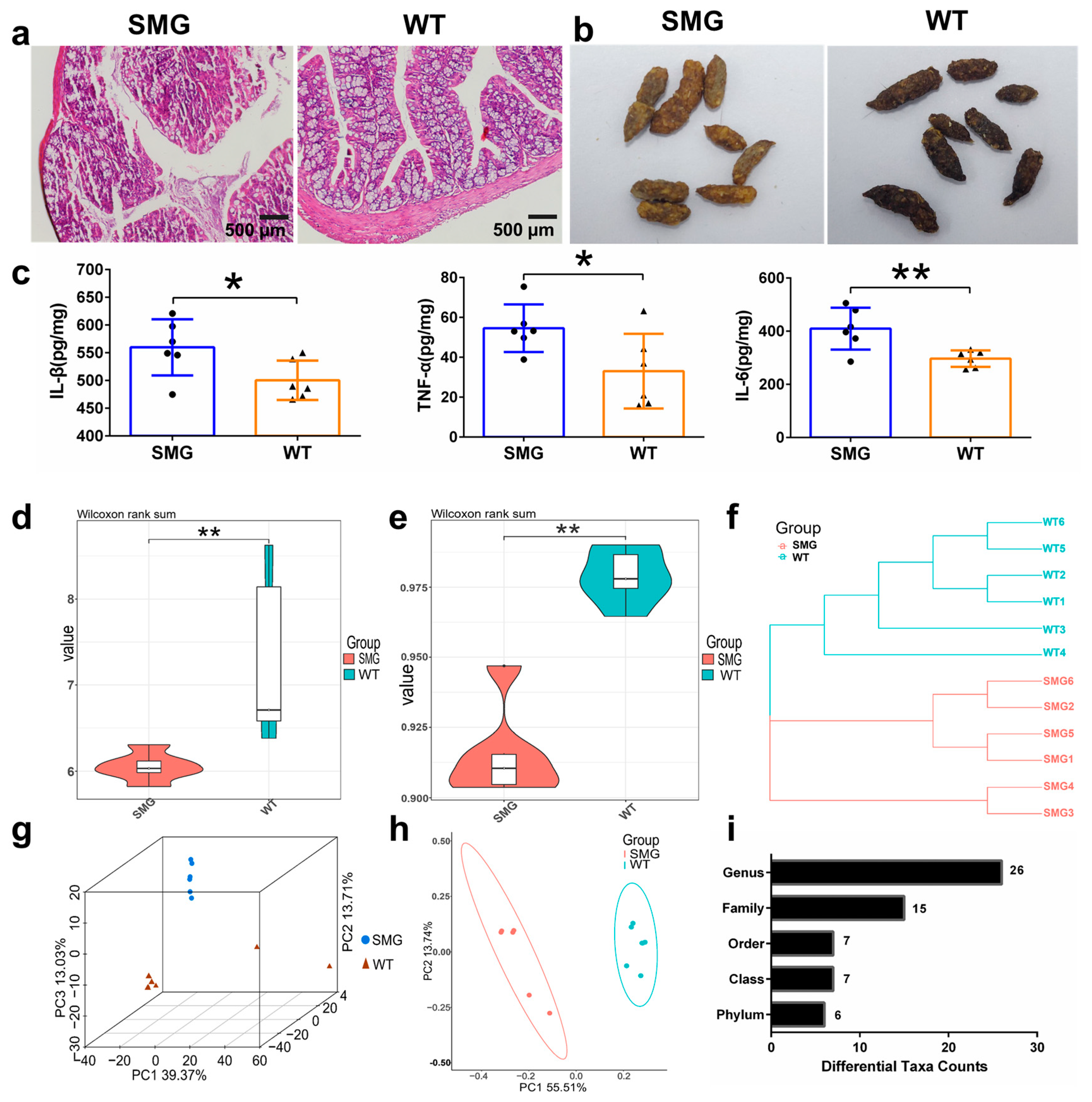 Molecular Mechanism of Microgravity-Induced Intestinal Flora Molecular Mechanism of Microgravity-Induced Intestinal Flora