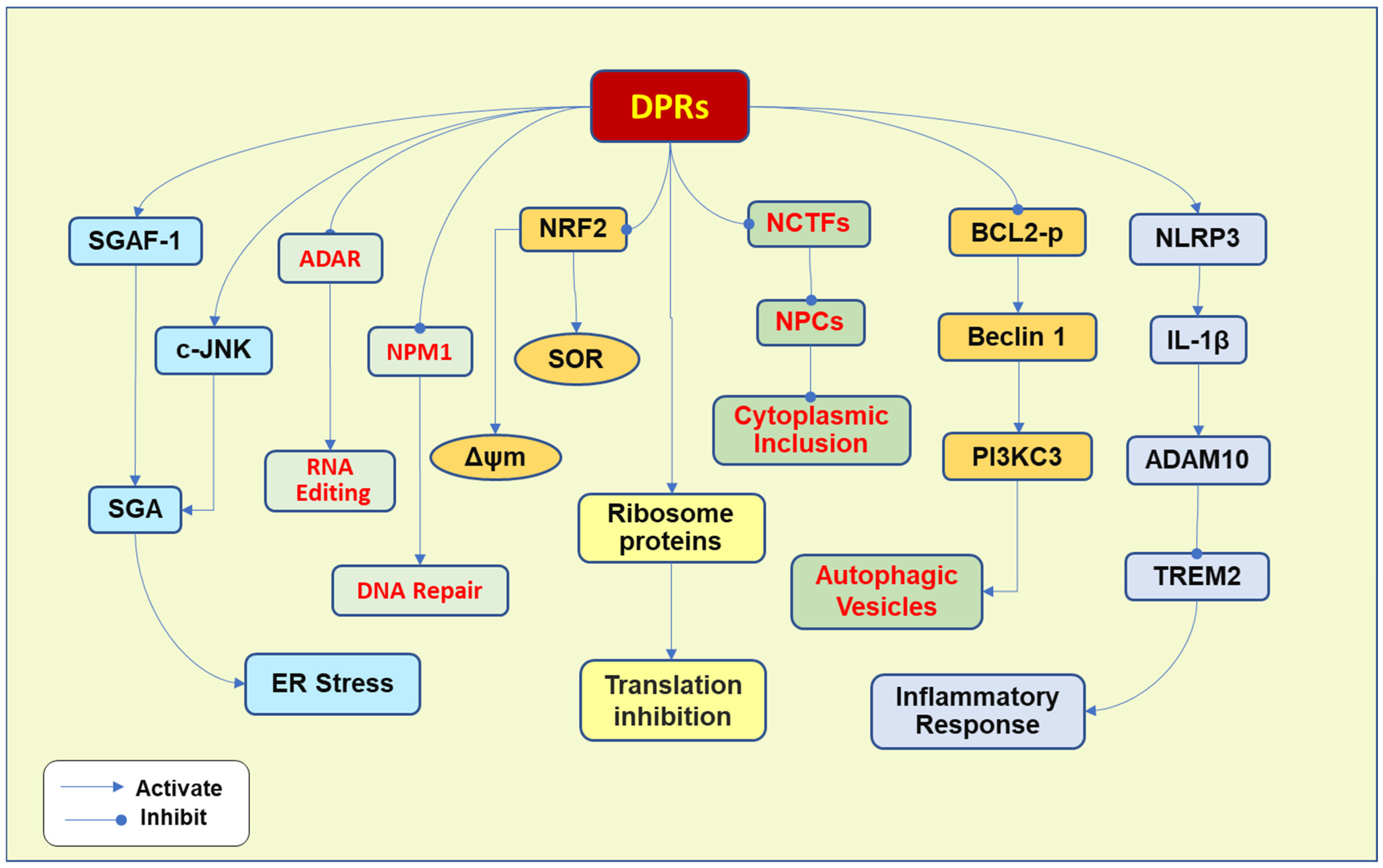 Targeting Gene C9orf72 Pathogenesis for Amyotrophic Lateral