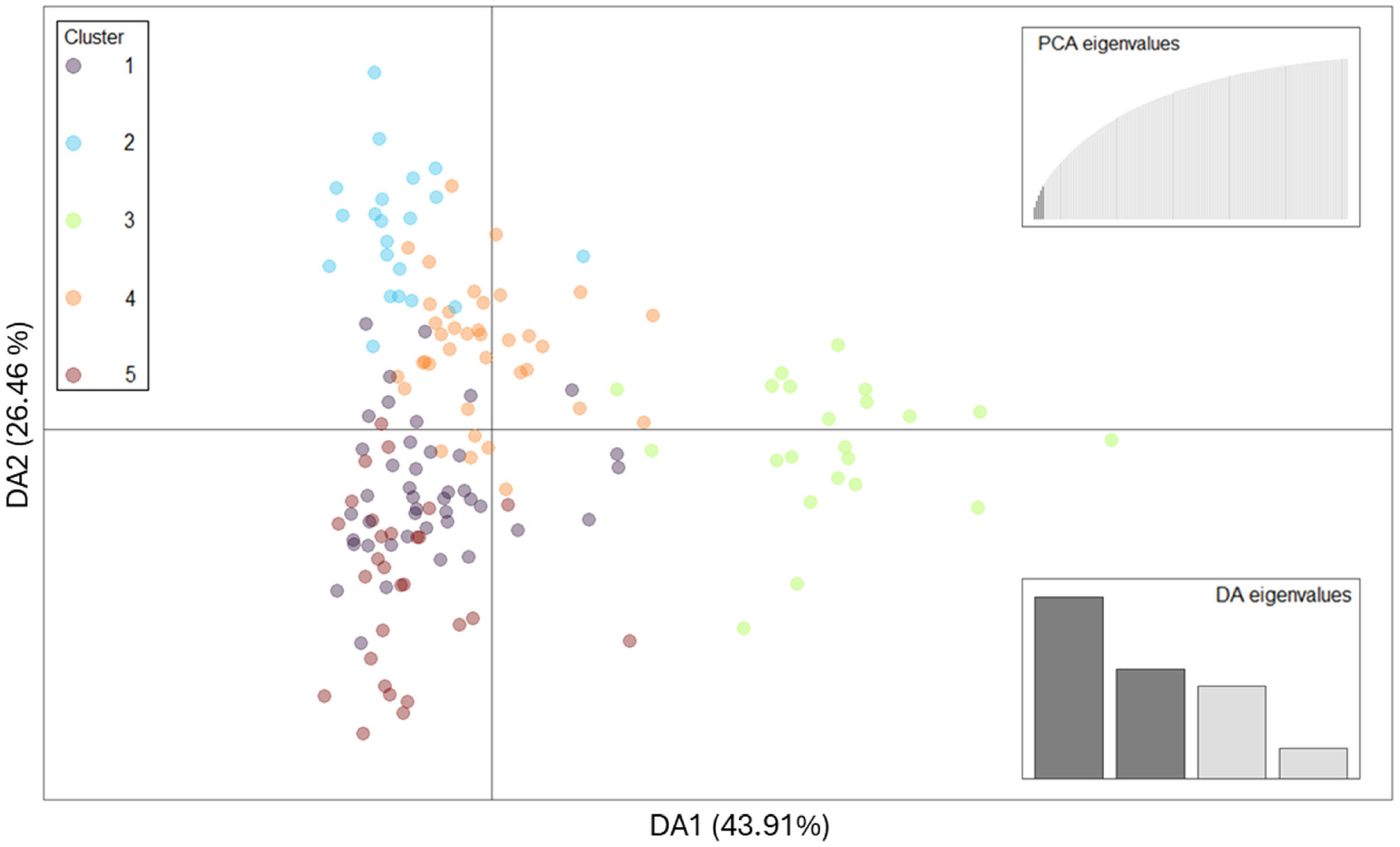 Genetic Diversity, Admixture, and Selection Signatures in a
