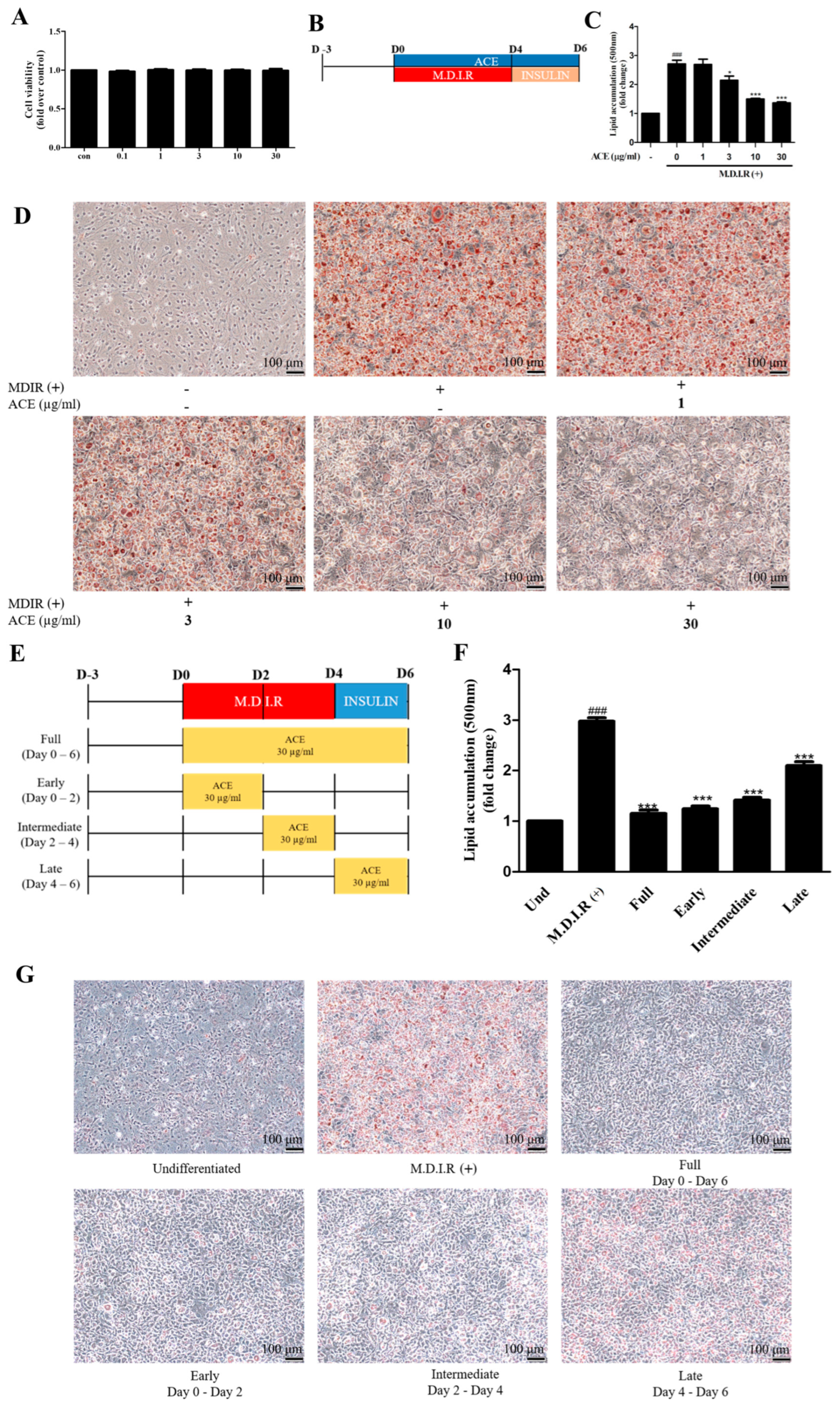 Antrodia cinnamomea Extract Attenuates Obesity by Targeting