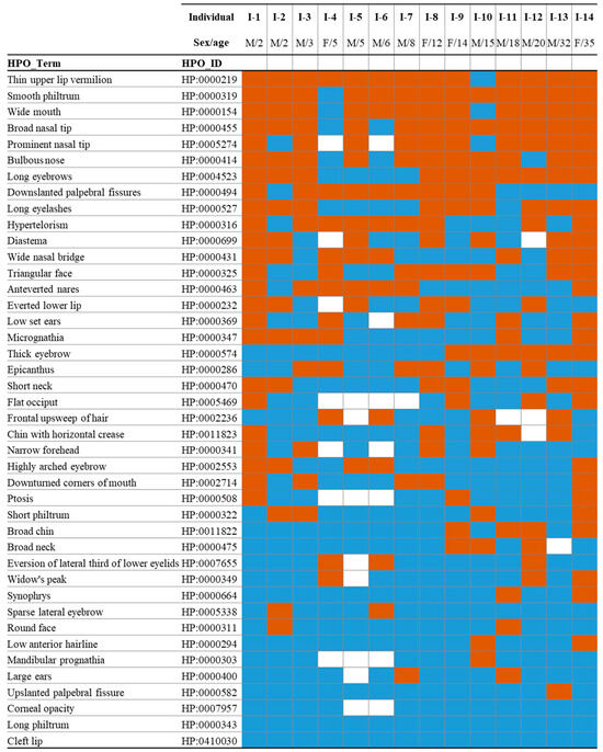 AI-Based Facial Phenotyping Supports a Shared Molecular Axis in